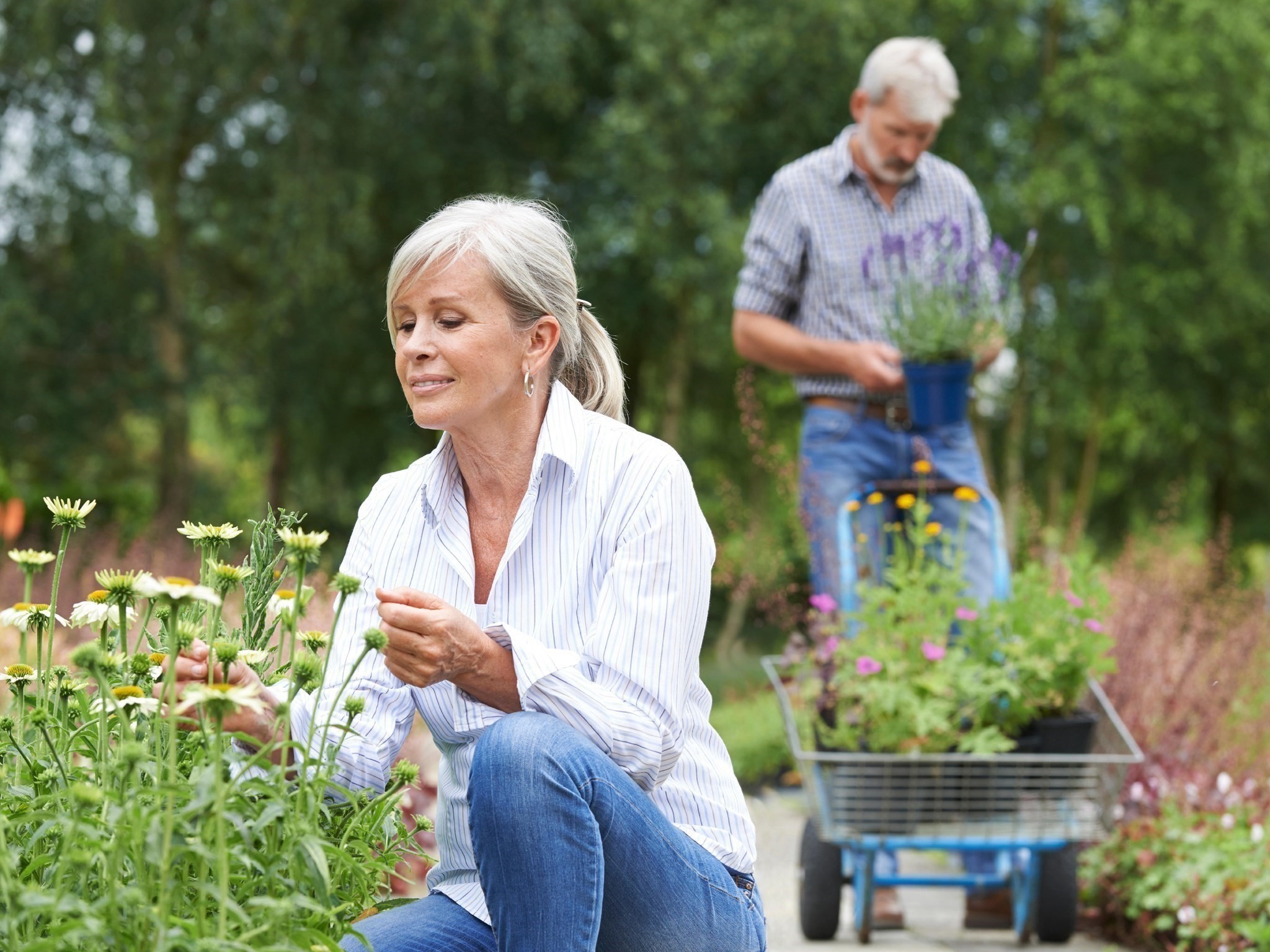 266 Monponsett Street Unit 302, Halifax, MA 02338 - Image 18