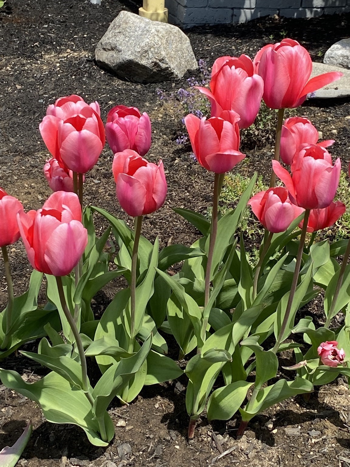 30 Chapel Street Unit B, Gloucester, MA 01930 - Image 33