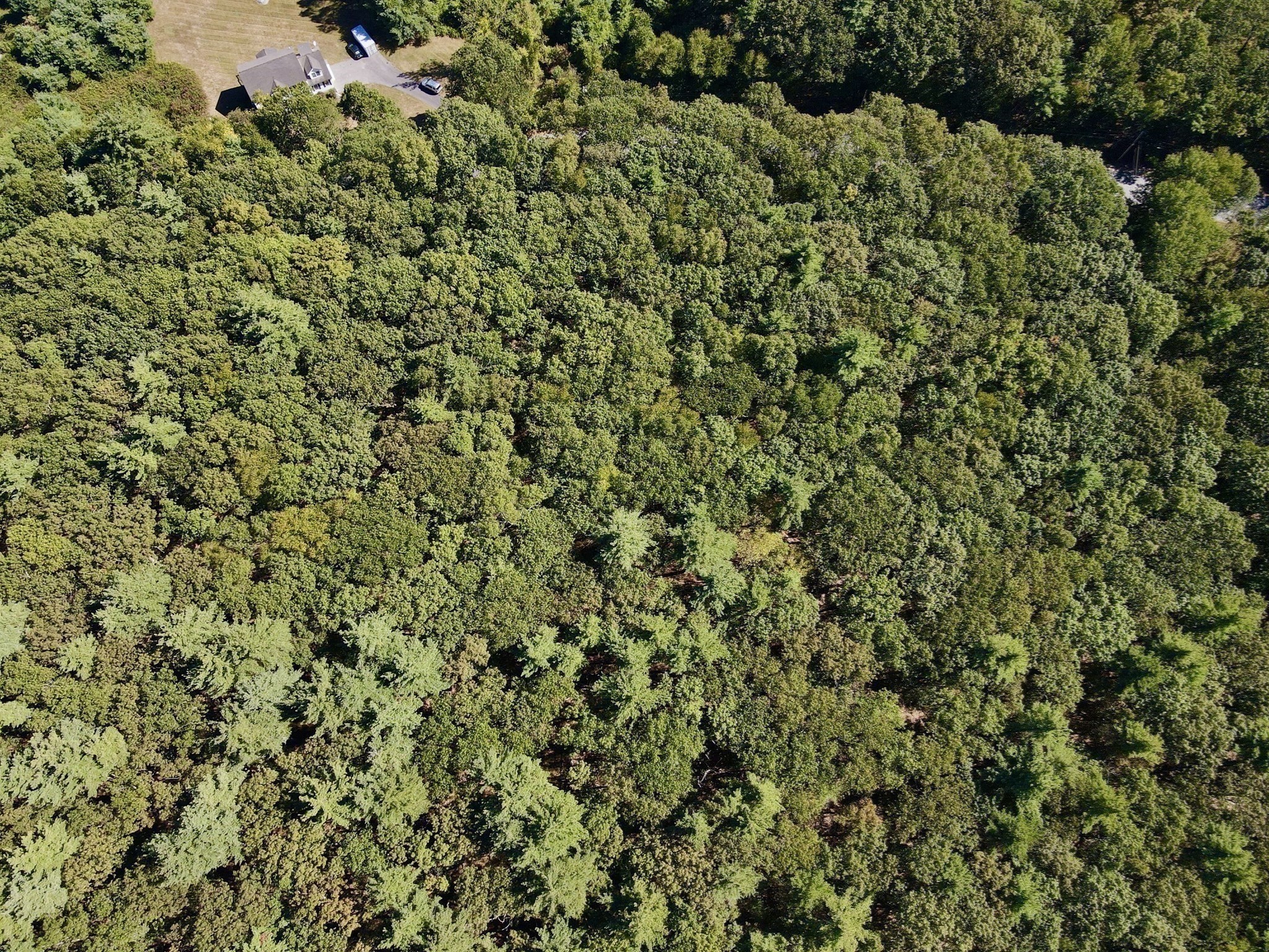 90 Corn Road, Bolton, MA 01740 - Image 8