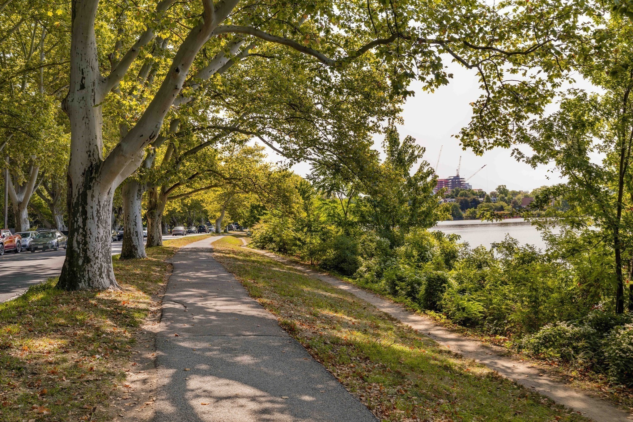 984 Memorial Drive Unit 984-503, Cambridge, MA 02138 - Image 28