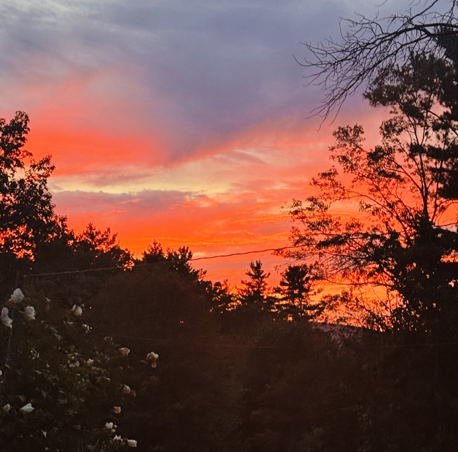 57 Whiteloaf Rd, Southampton, MA 01073