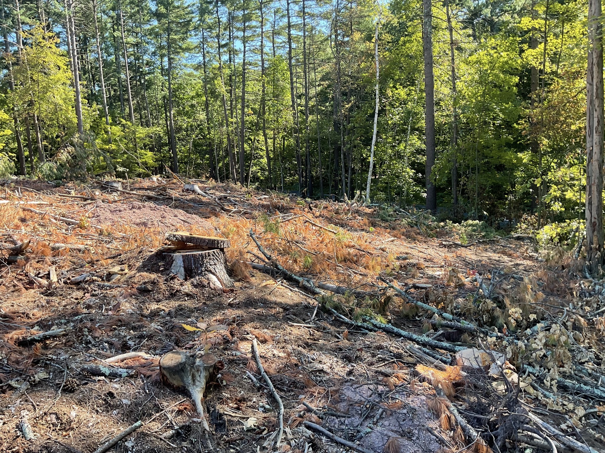 57 Whiteloaf Rd, Southampton, MA 01073 - Image 11