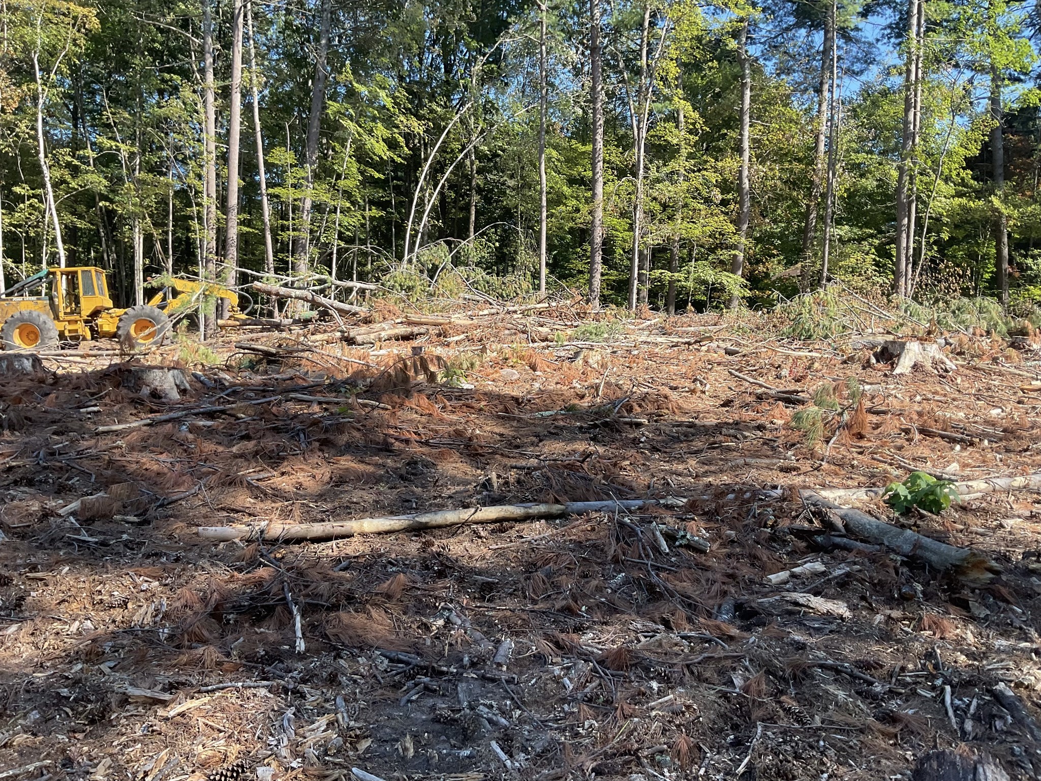 57 Whiteloaf Rd, Southampton, MA 01073 - Image 12