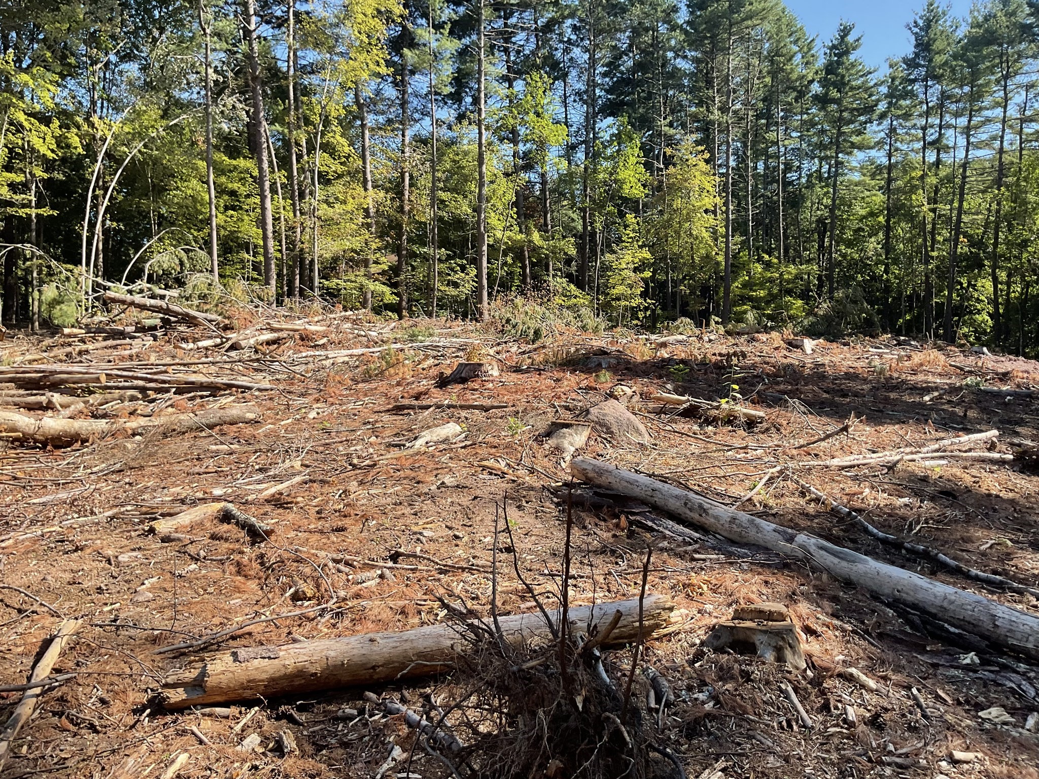 57 Whiteloaf Rd, Southampton, MA 01073 - Image 13