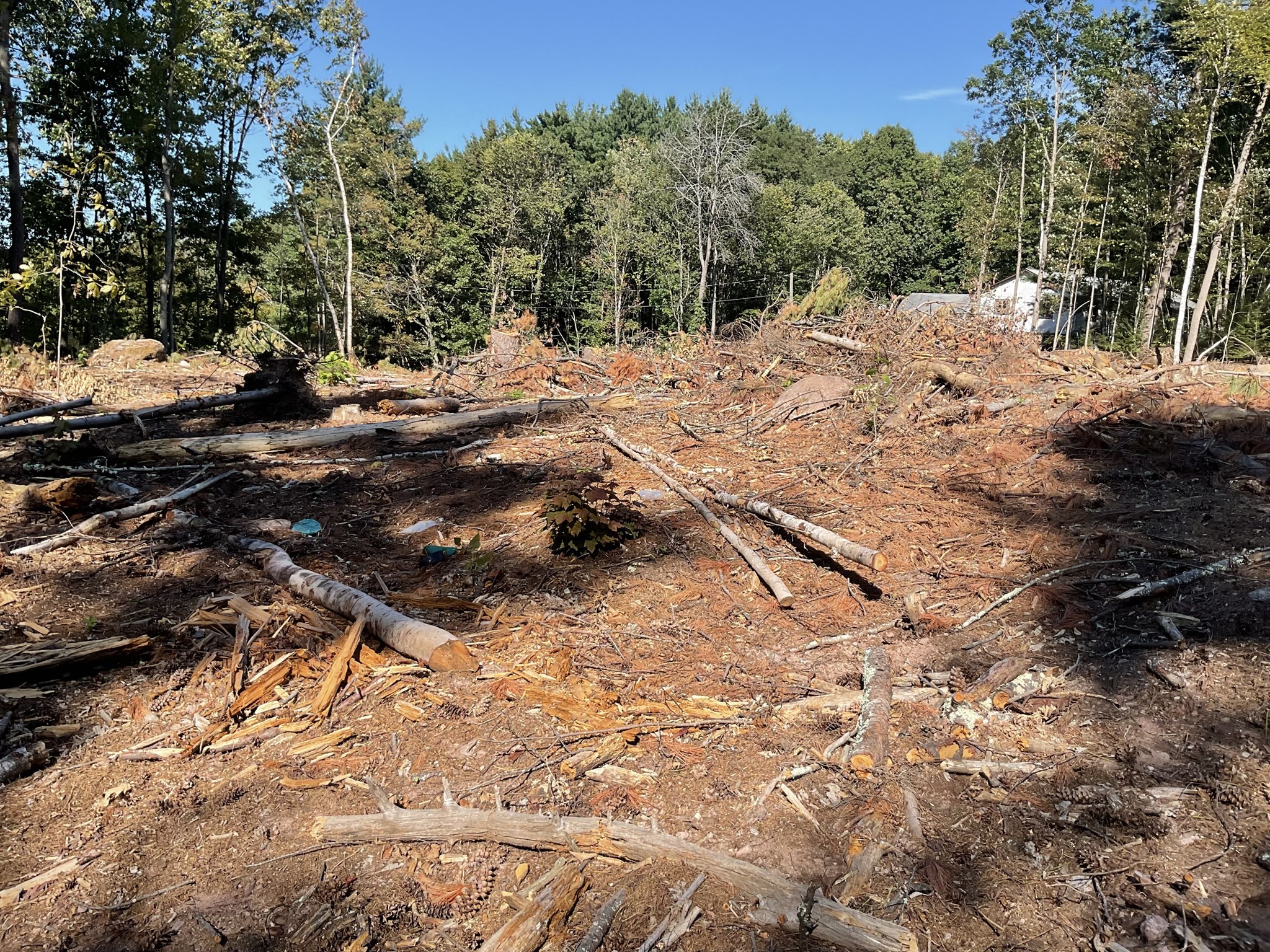 57 Whiteloaf Rd, Southampton, MA 01073 - Image 3