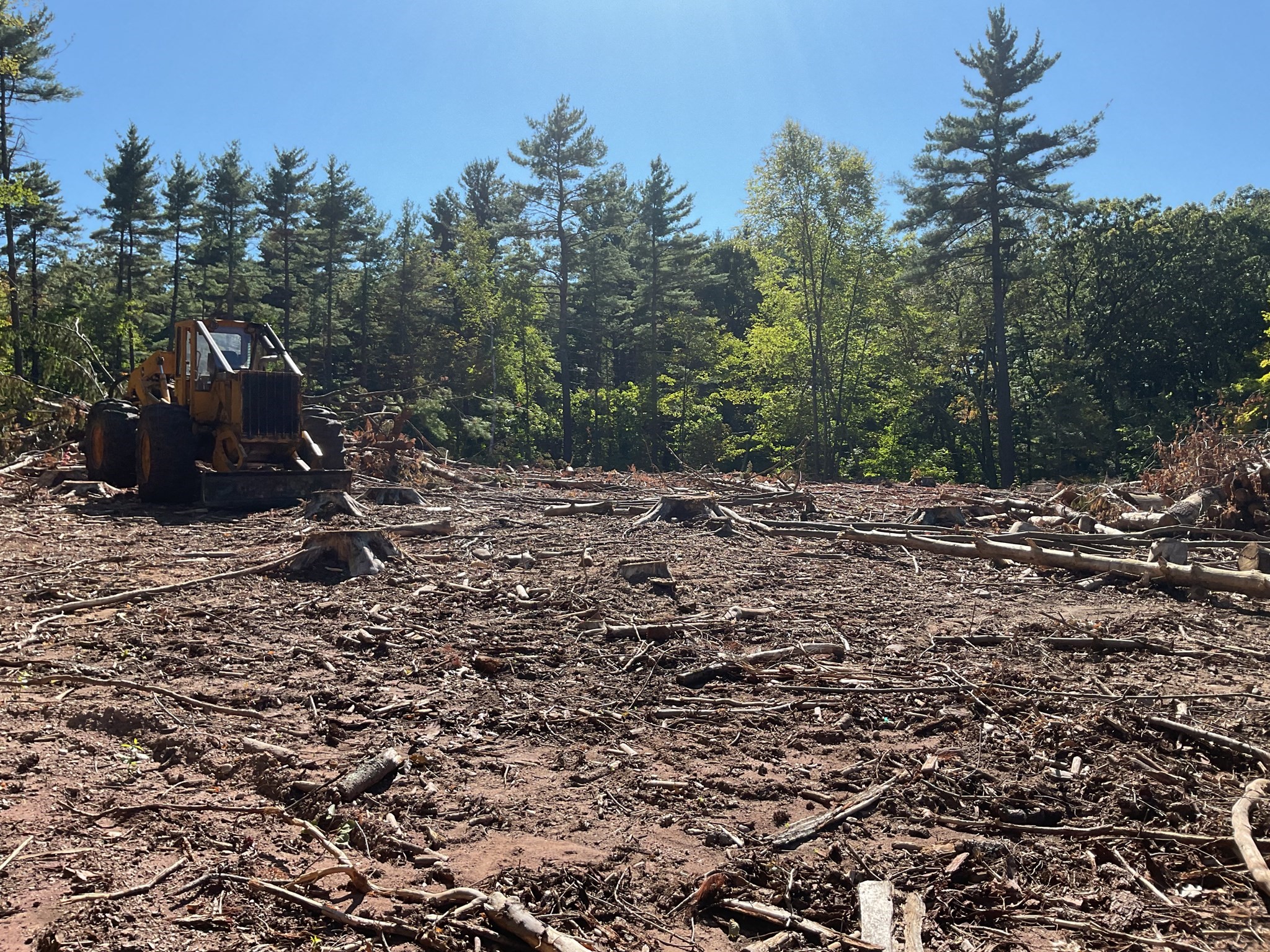 57 Whiteloaf Rd, Southampton, MA 01073 - Image 5