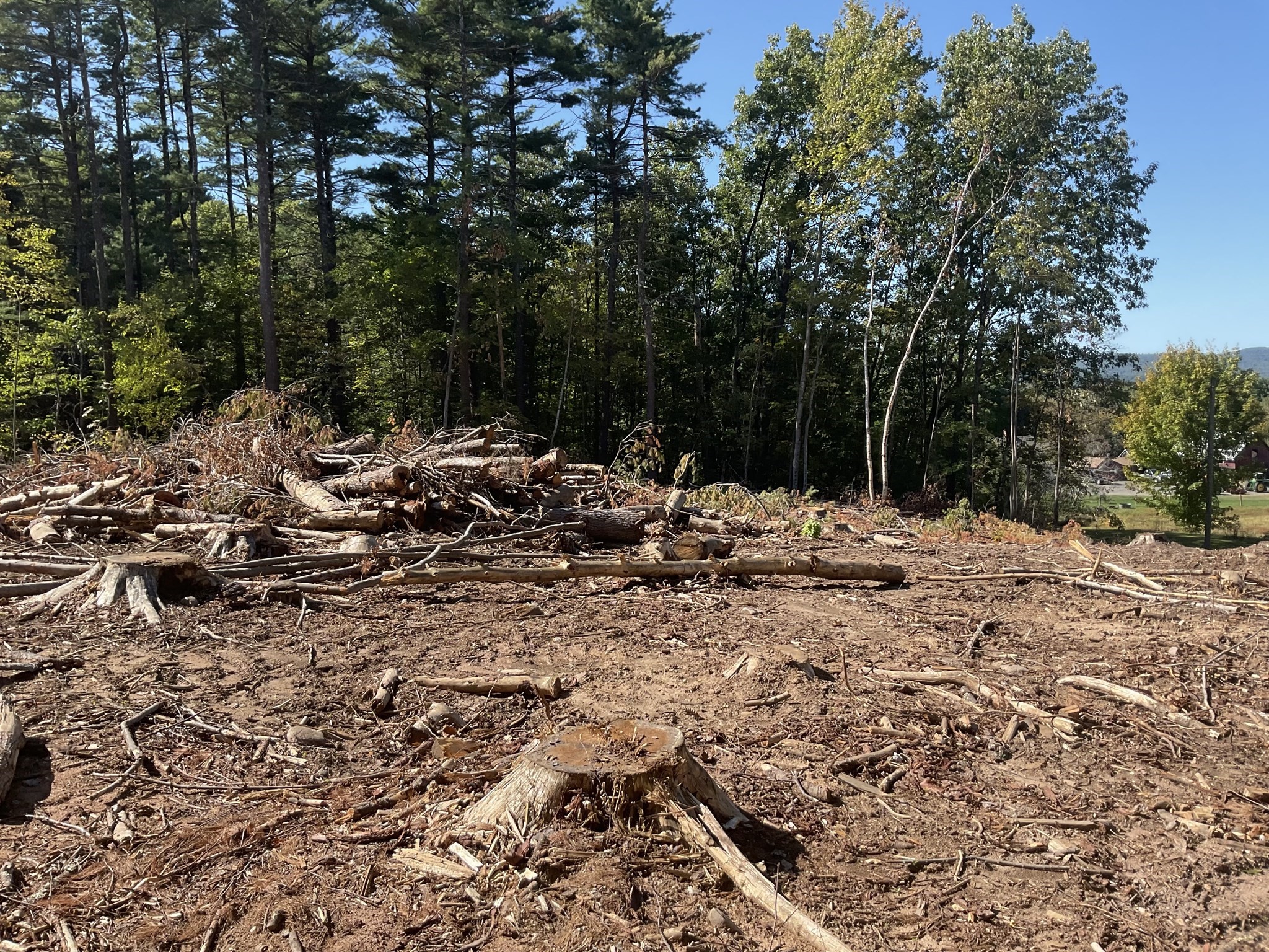 57 Whiteloaf Rd, Southampton, MA 01073 - Image 6