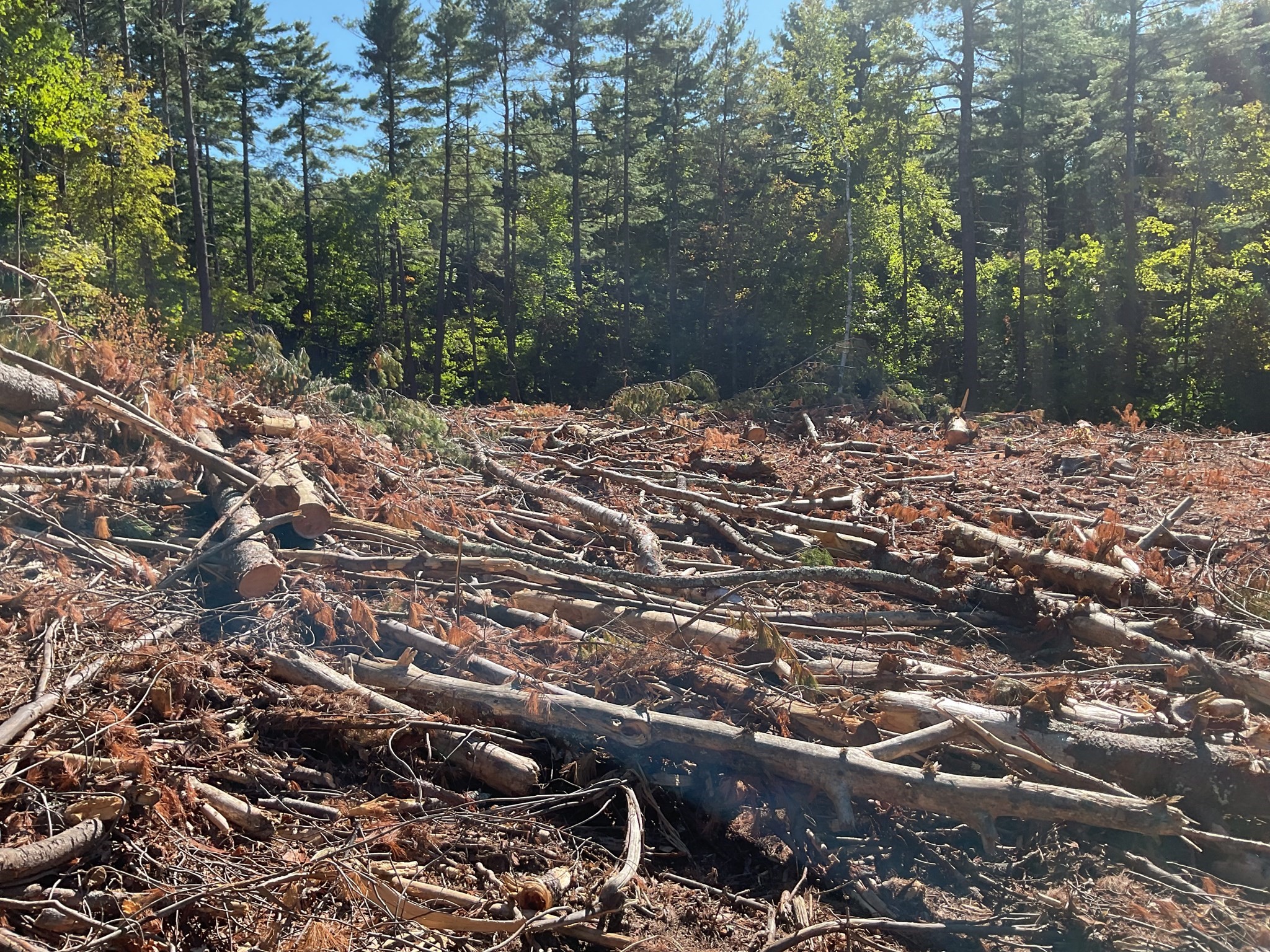 57 Whiteloaf Rd, Southampton, MA 01073 - Image 7