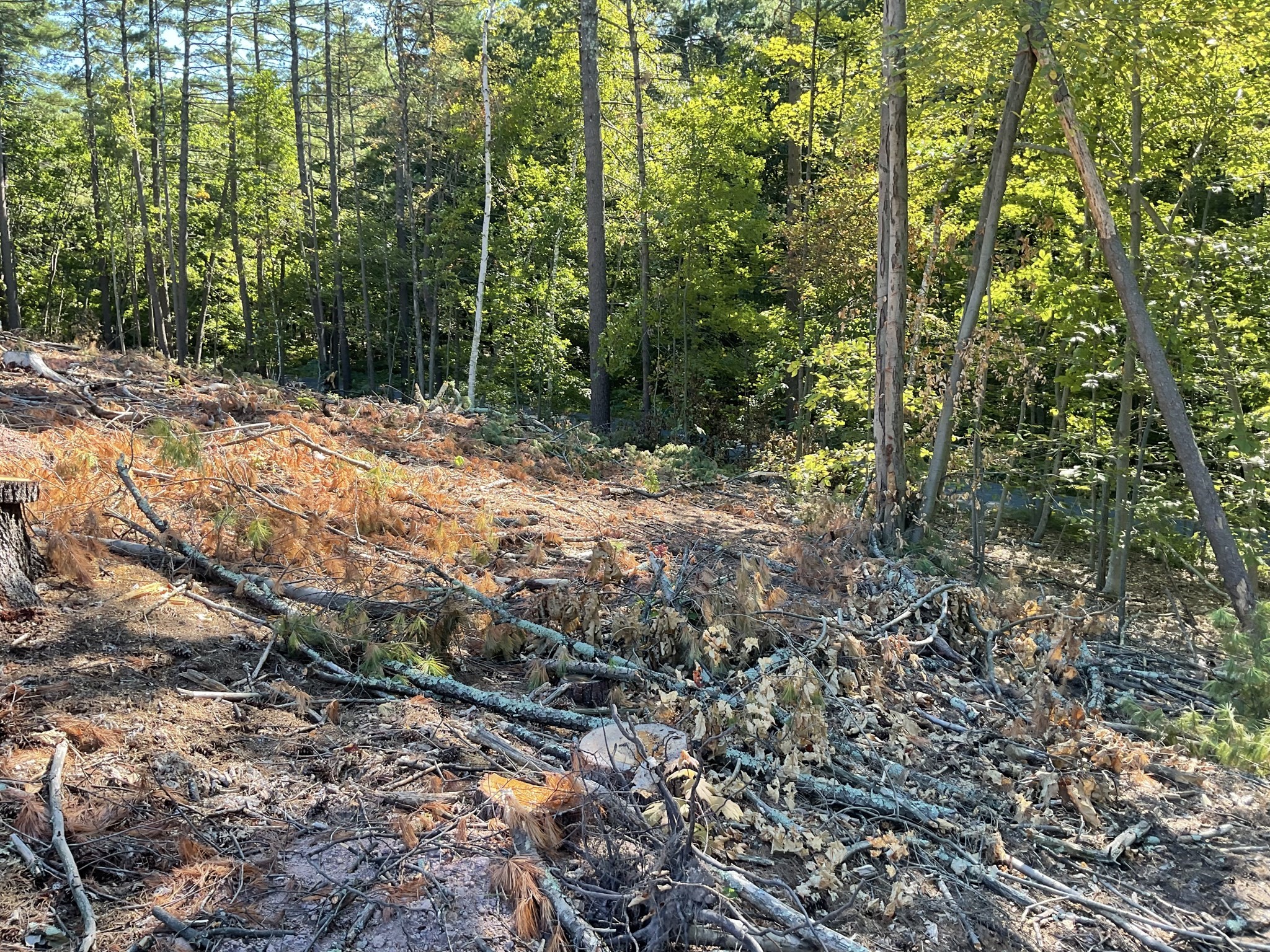 57 Whiteloaf Rd, Southampton, MA 01073 - Image 8