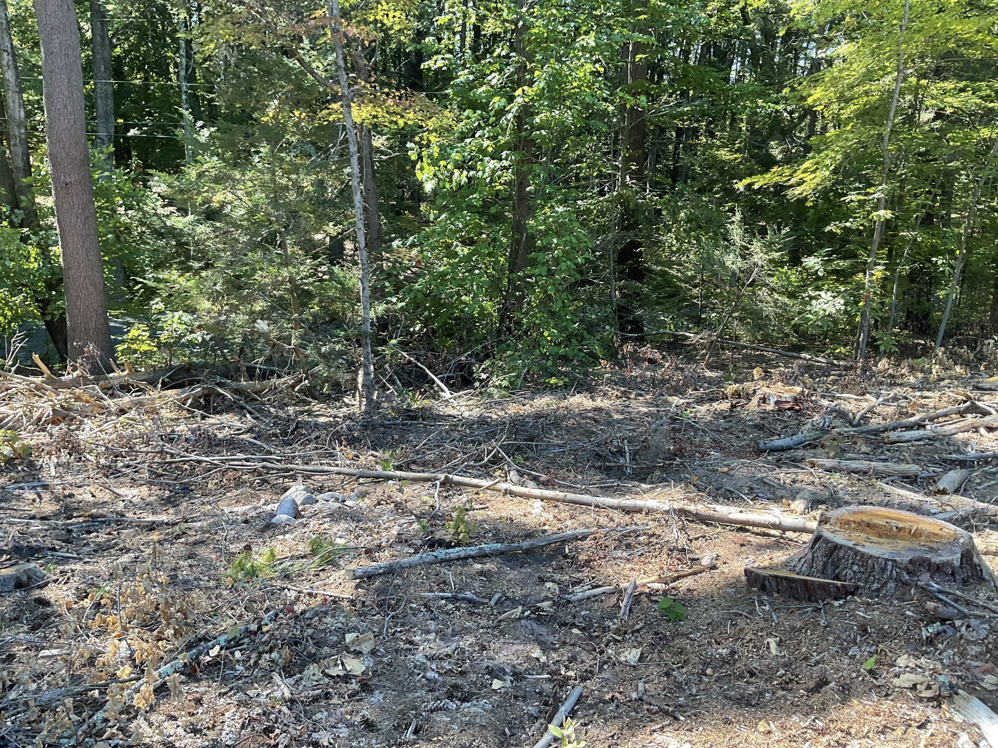 57 Whiteloaf Rd, Southampton, MA 01073 - Image 9