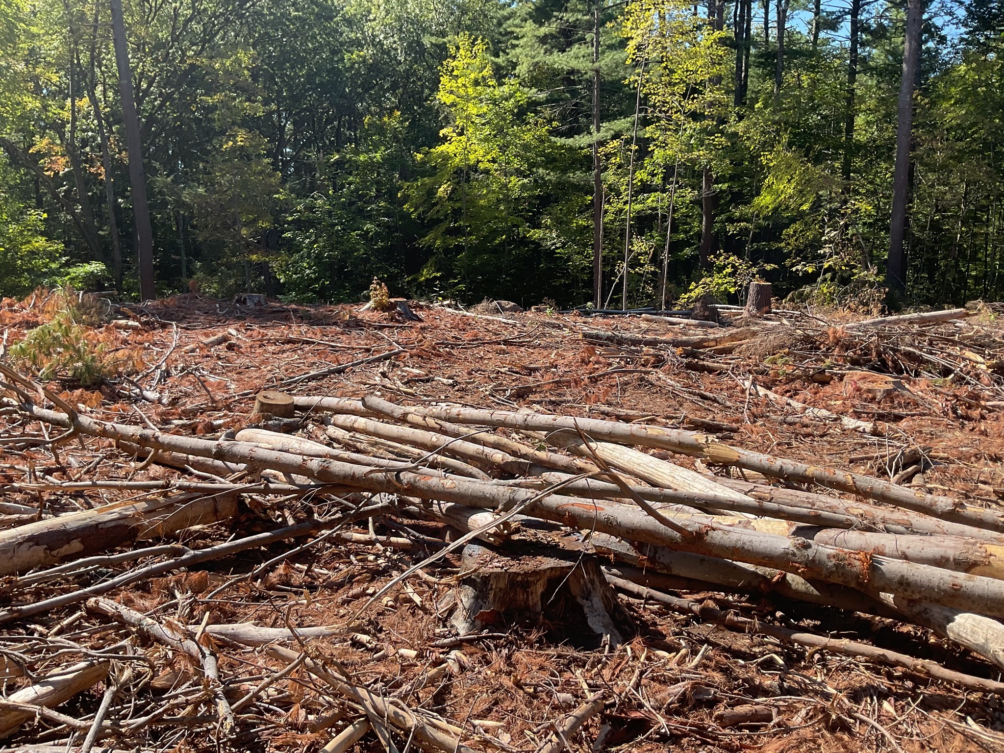 57 Whiteloaf Rd, Southampton, MA 01073 - Image 10