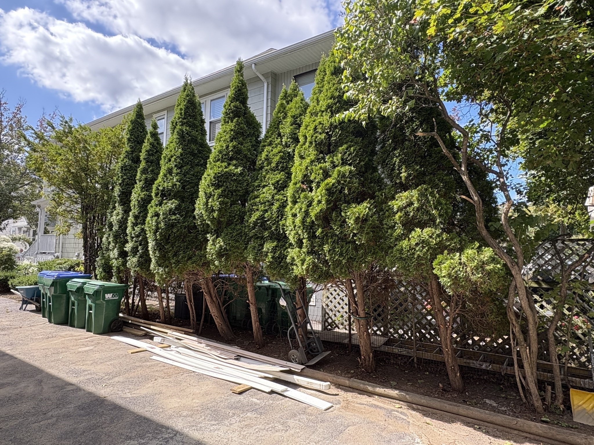 52 Woodrow Ave Unit 1, Medford, MA 02155 - Image 7