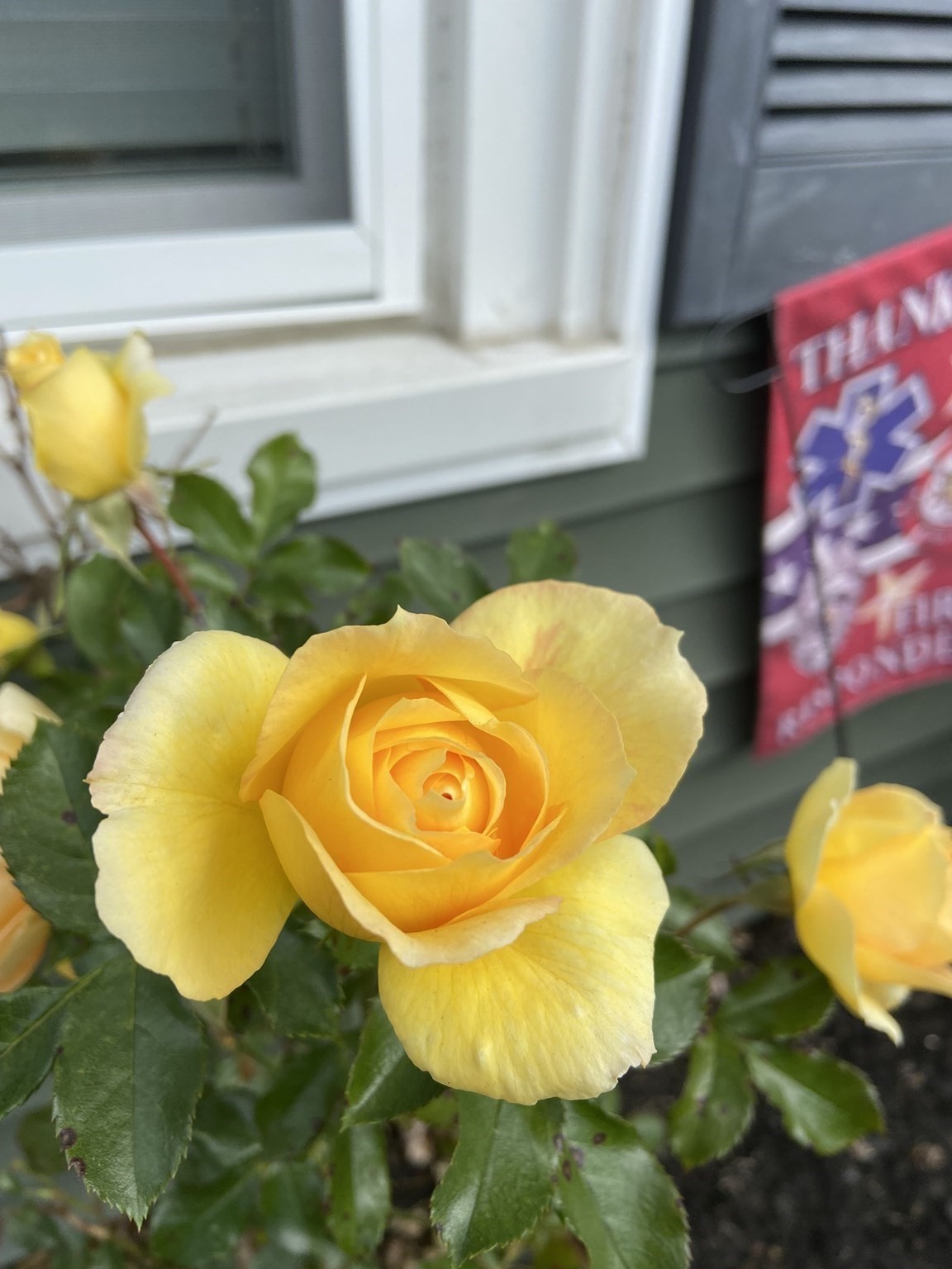 262 Homeland Drive, Whitman, MA 02382 - Image 6