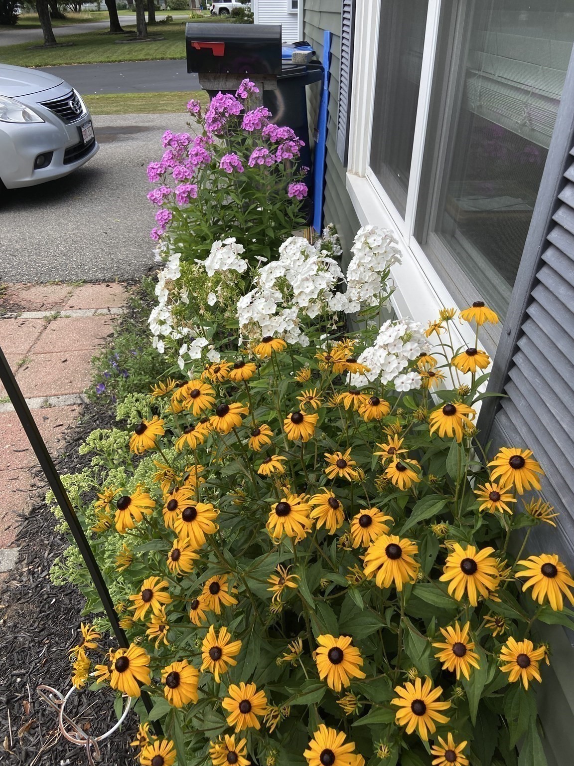 262 Homeland Drive, Whitman, MA 02382 - Image 8