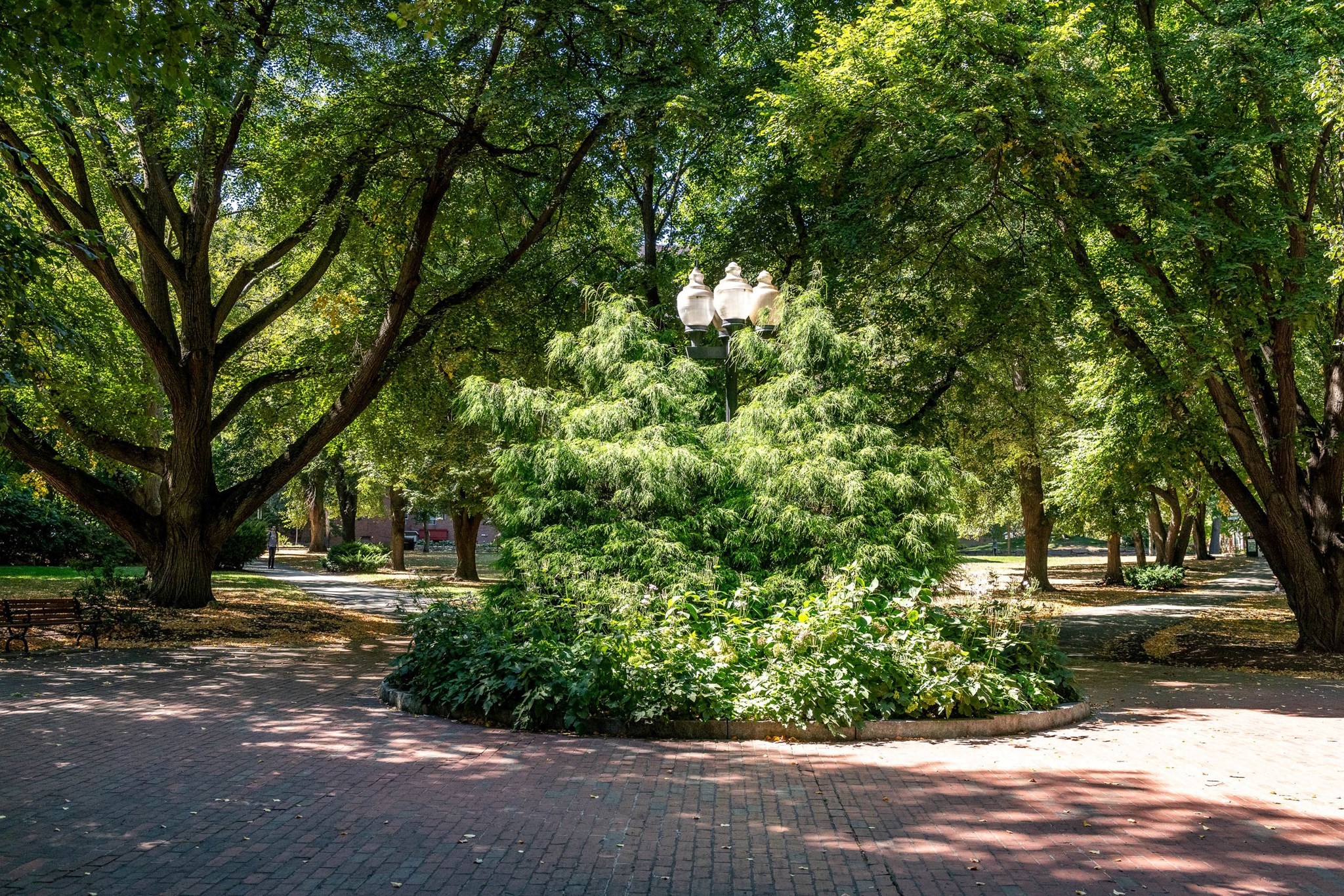 19 Thatcher St Unit E1-3, Brookline, MA 02446 - Image 20