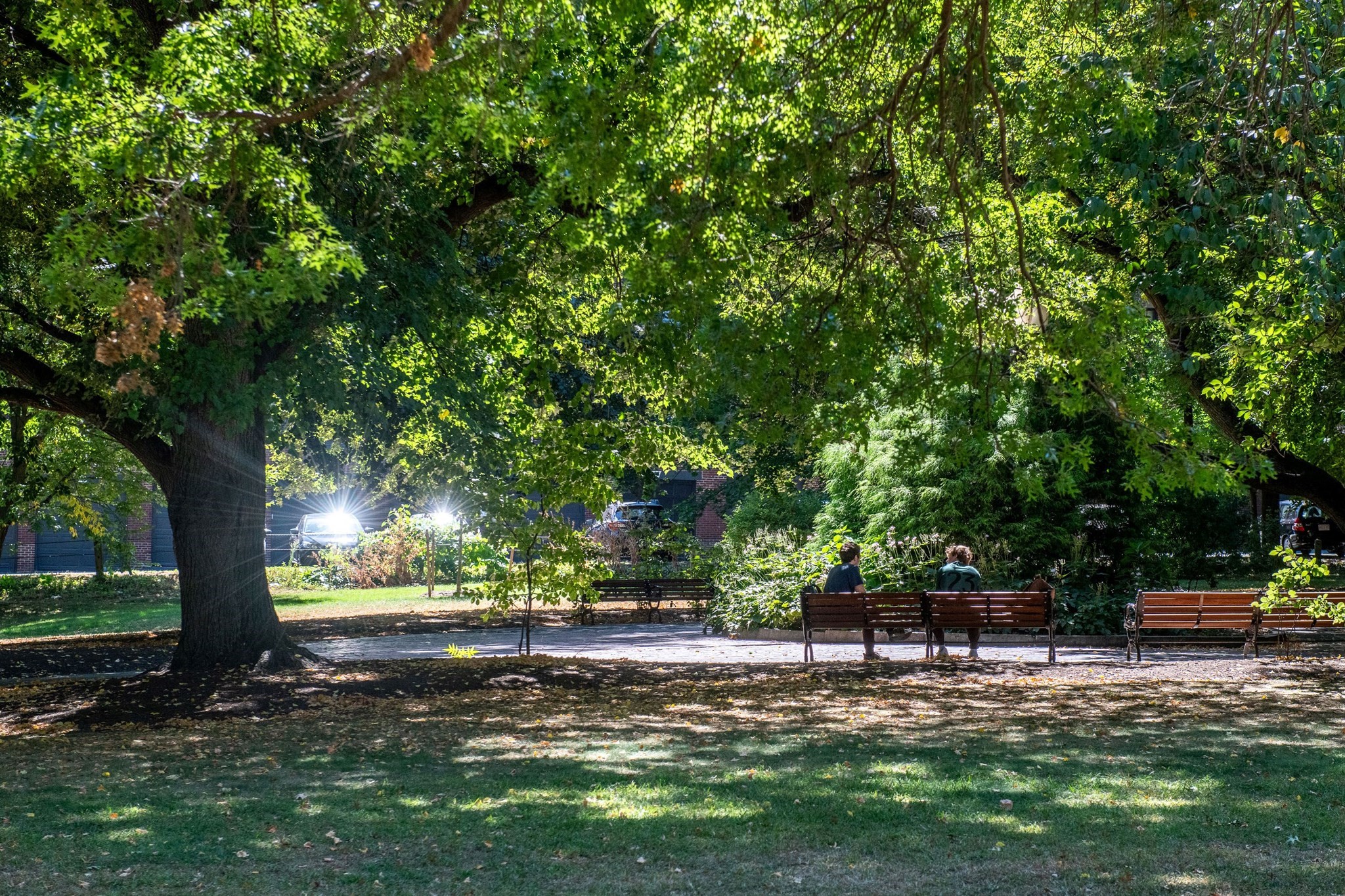 19 Thatcher St Unit E1-3, Brookline, MA 02446 - Image 21