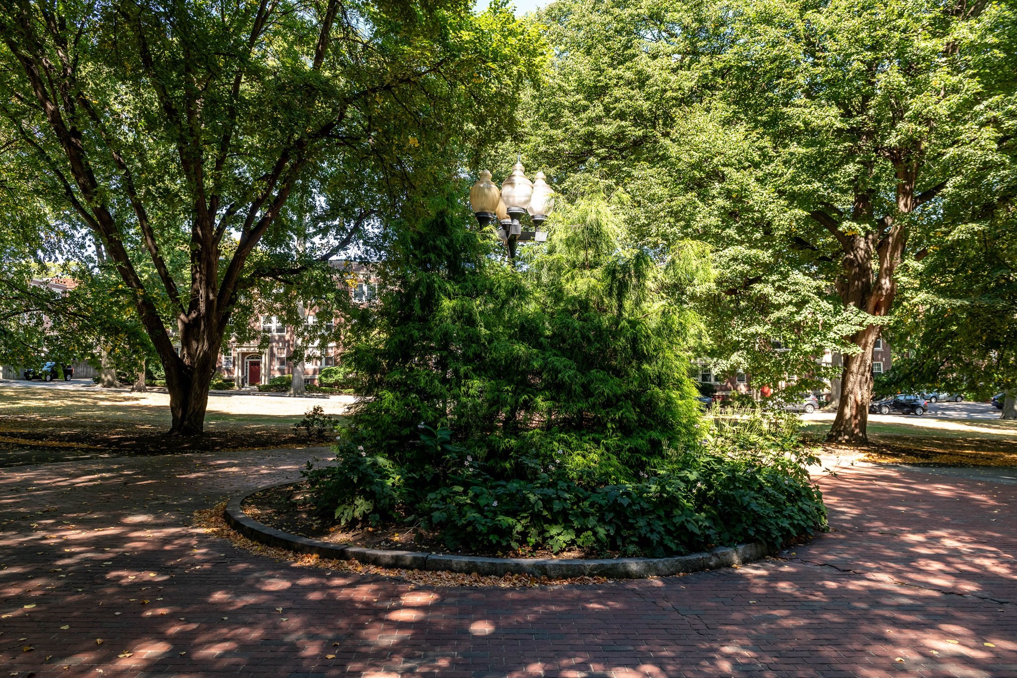 19 Thatcher St Unit E1-3, Brookline, MA 02446 - Image 22