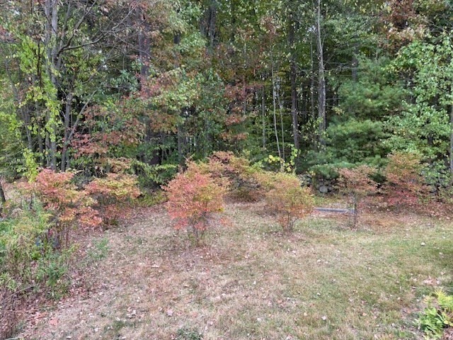 62 Lindsay Lane, Athol, MA 01331 - Image 41