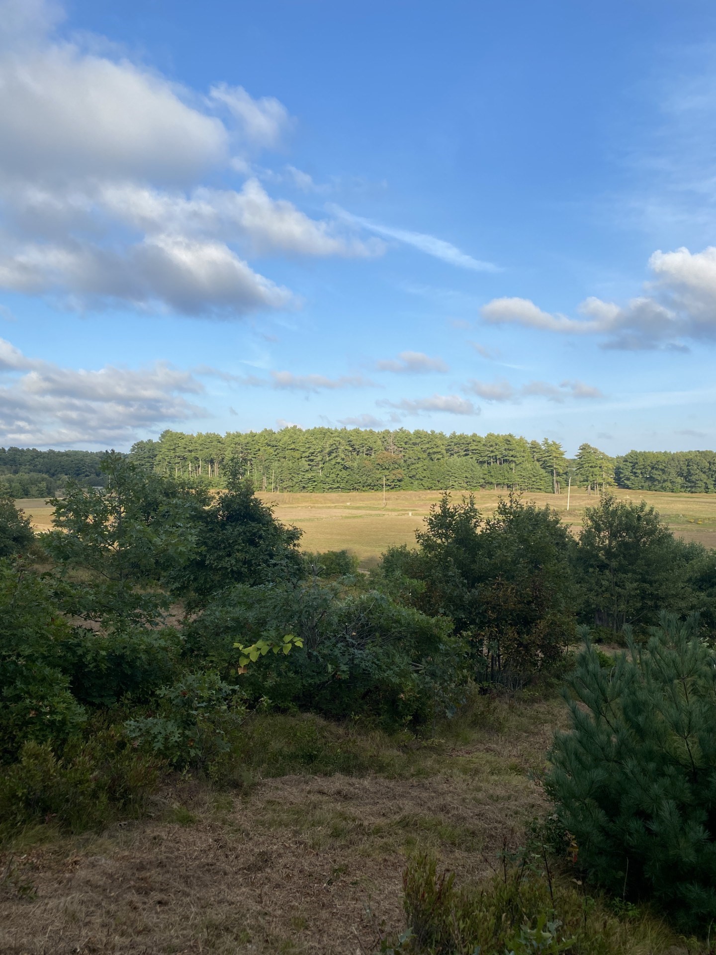 83 Wapping Road, Kingston, MA 02364 - Image 5