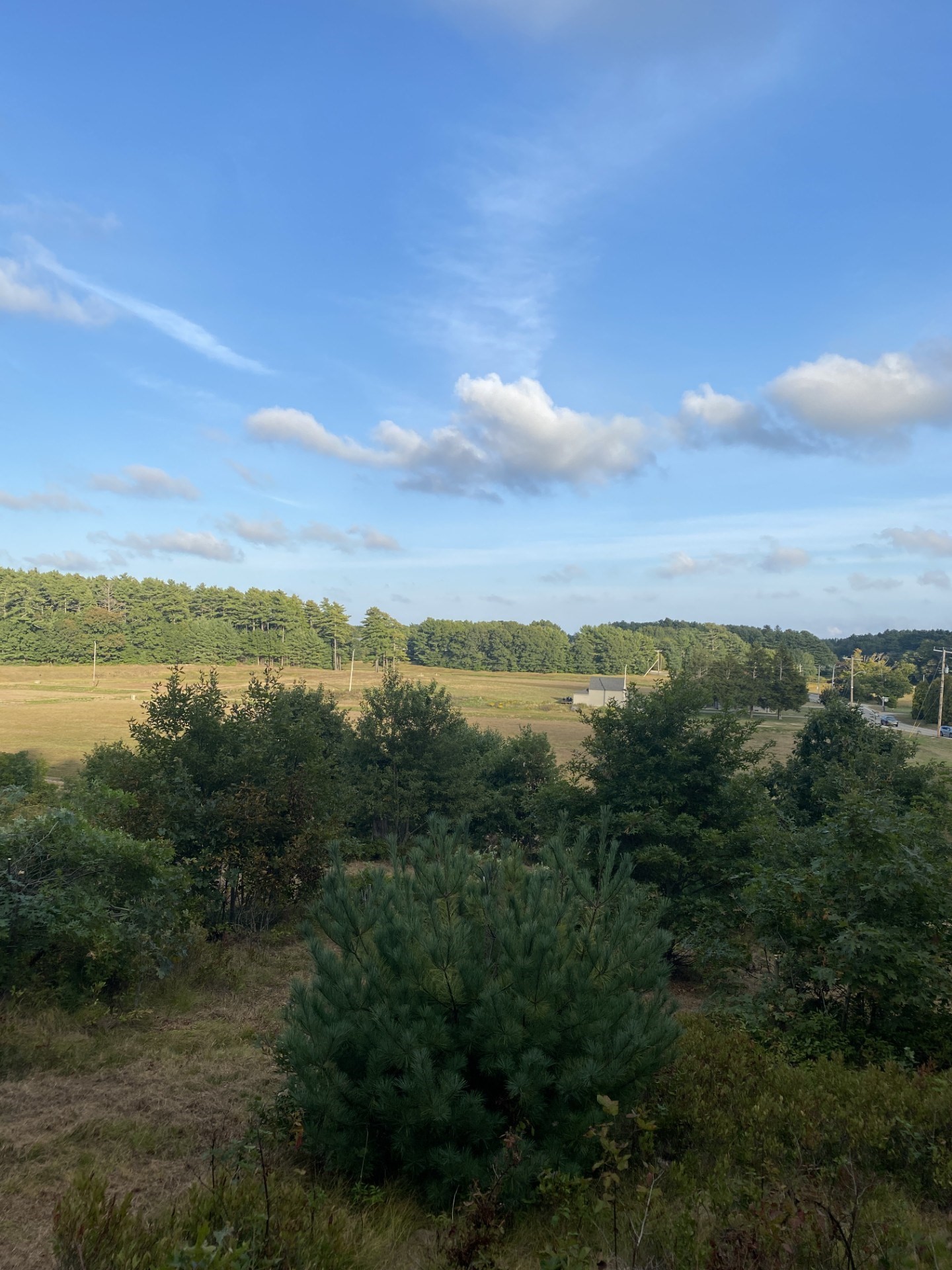 83 Wapping Road, Kingston, MA 02364 - Image 6