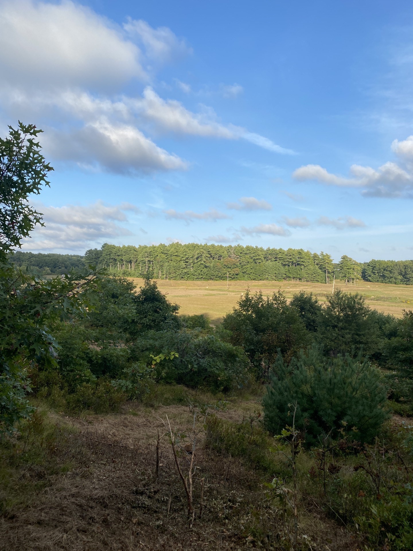 83 Wapping Road, Kingston, MA 02364 - Image 7