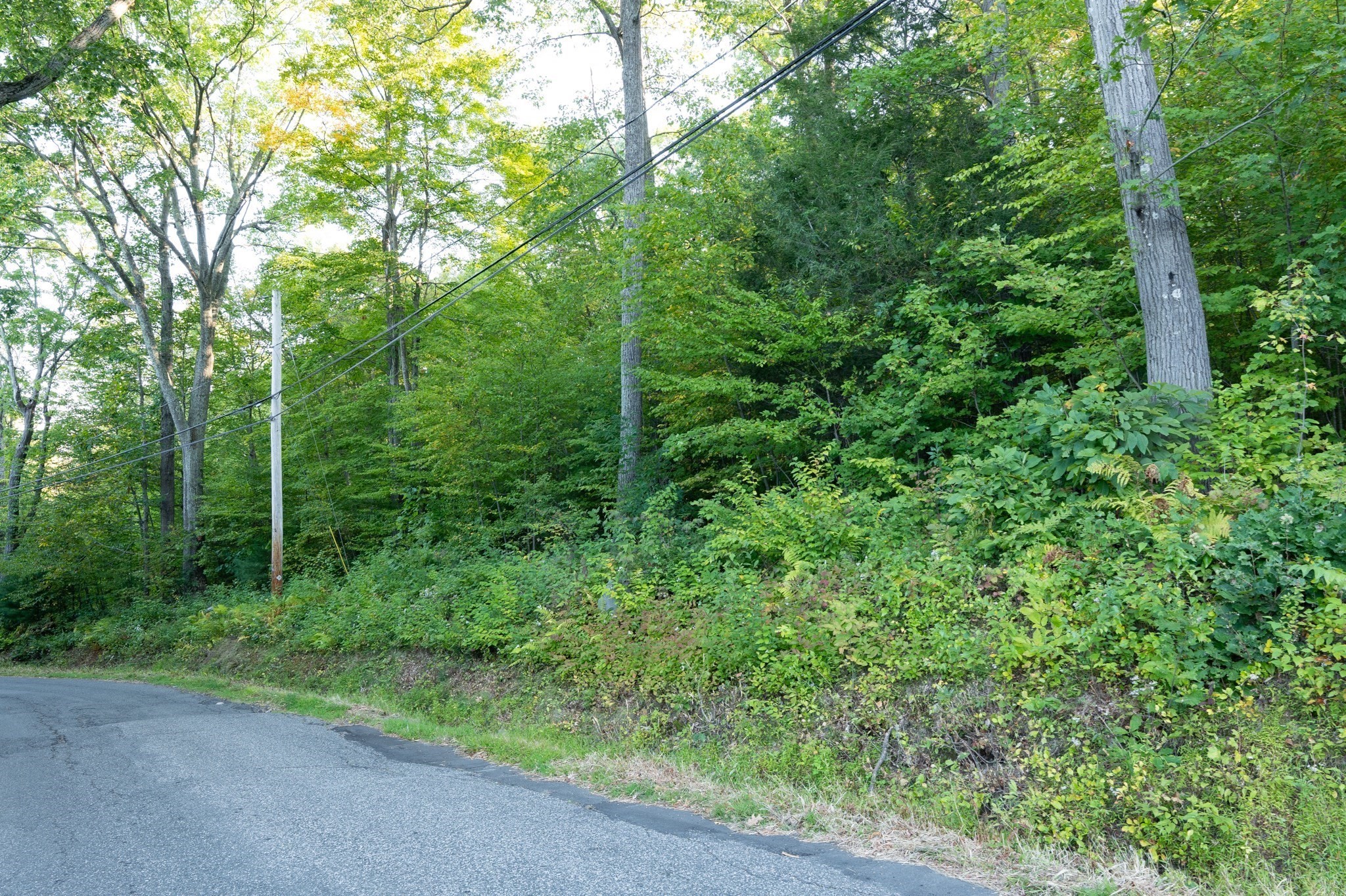 187 Hovey Road, Monson, MA 01057 - Image 3