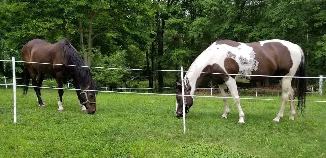 57 Upper Gore Rd, Webster, MA 01570 - Image 32