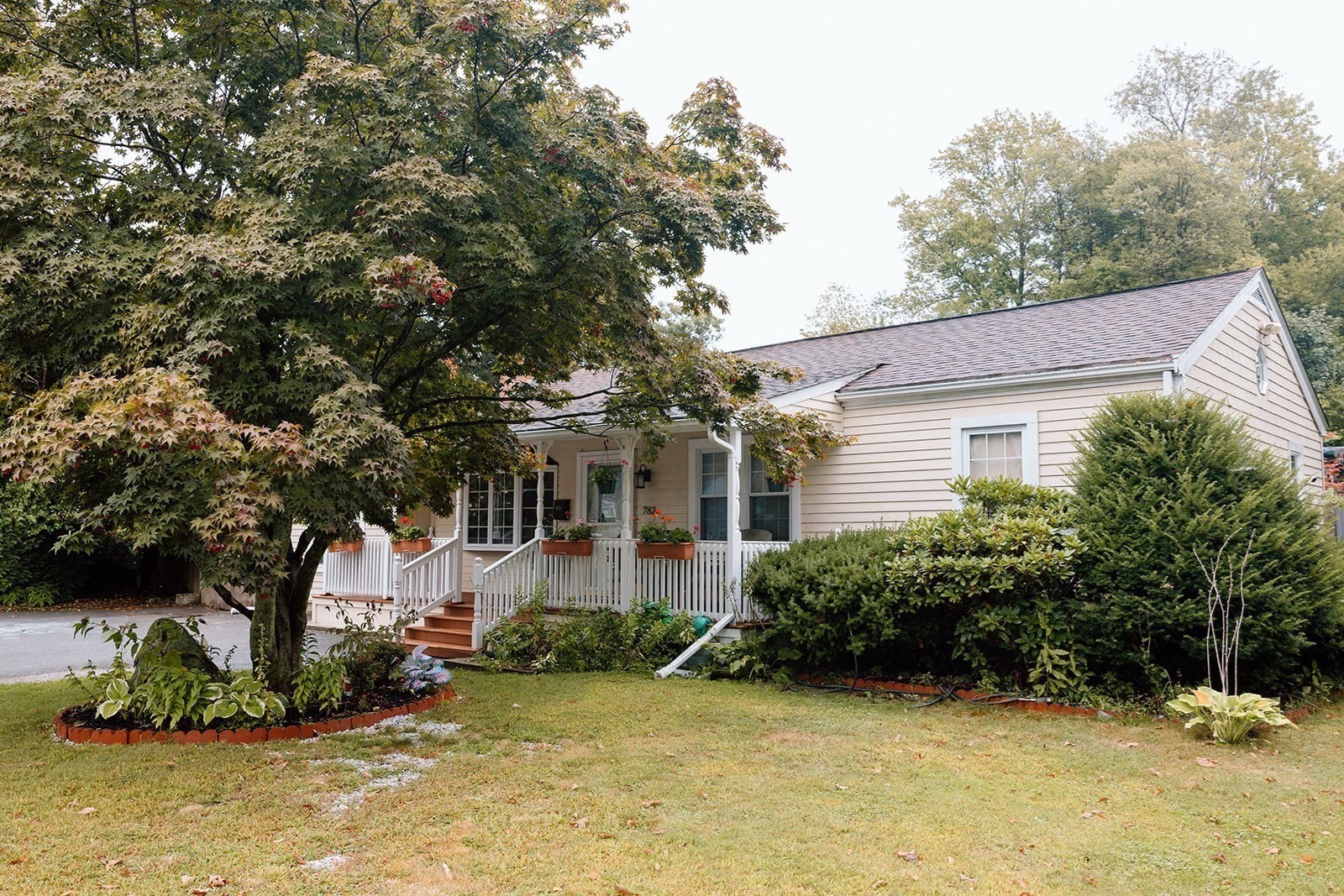 782 Ash St, Brockton, MA 02301 - Image 3