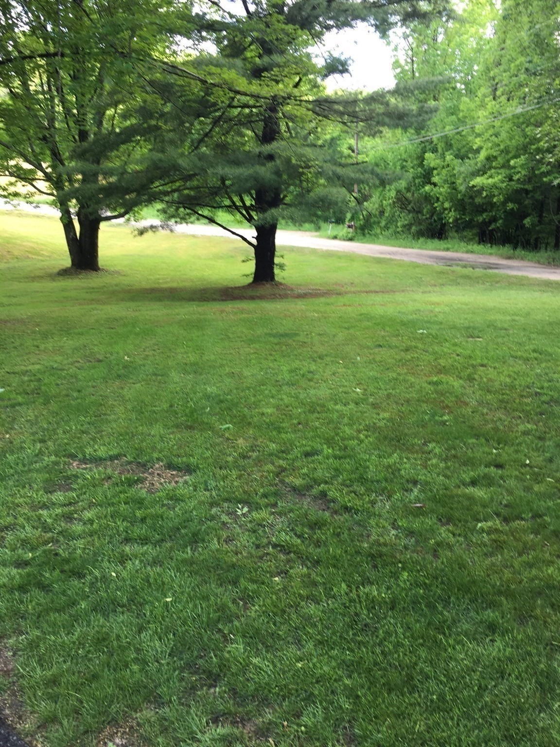 118 Spring Hill  Road, Ashby, MA 01431 - Image 36