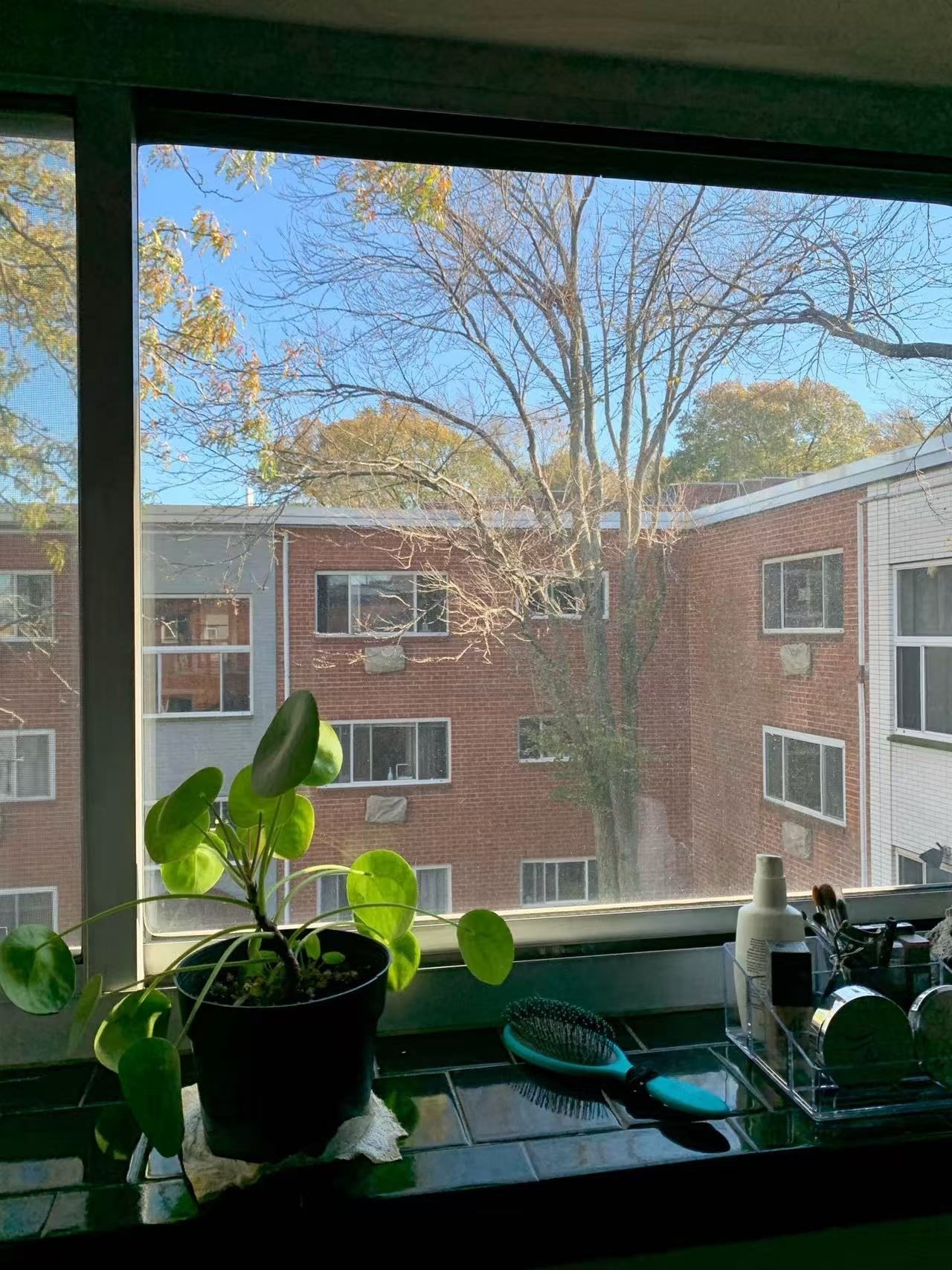 239 Kelton St Unit 41, Brighton, Boston, MA 02134 - Image 11