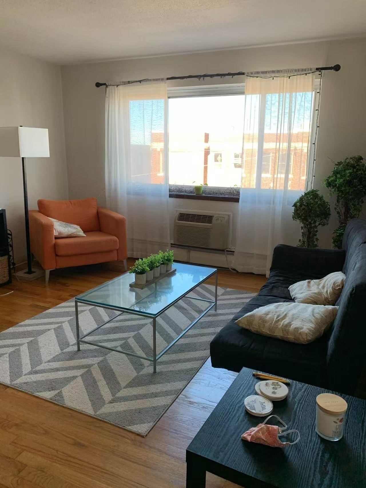 239 Kelton St Unit 41, Brighton, Boston, MA 02134 - Image 5