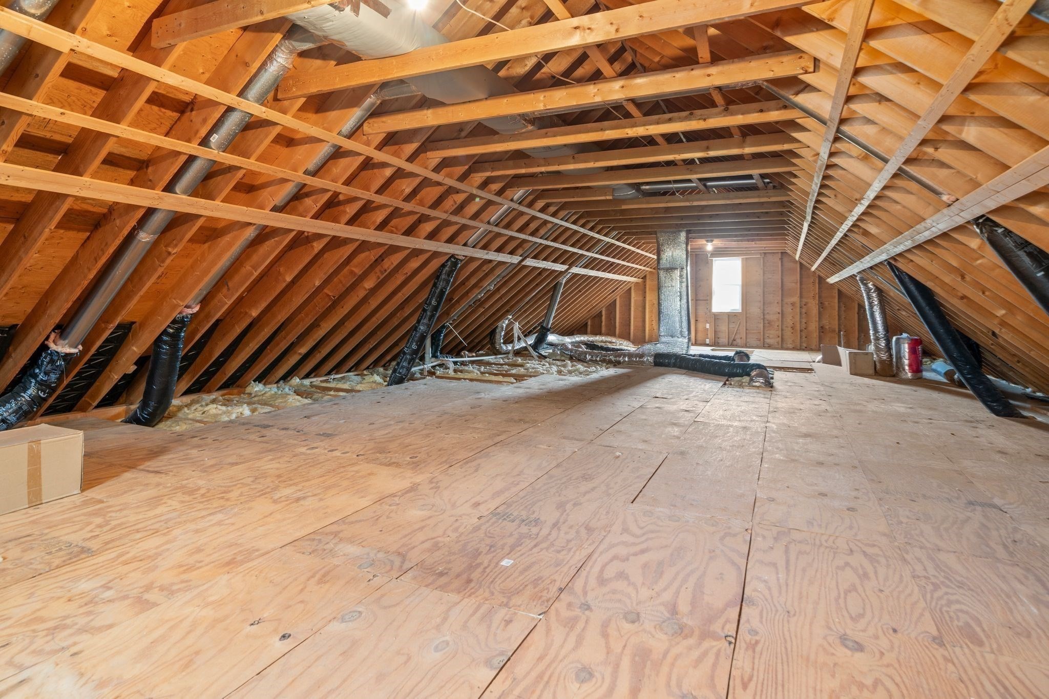 8 Brinton St Unit 2, Roxbury, Boston, MA 02119 - Image 24