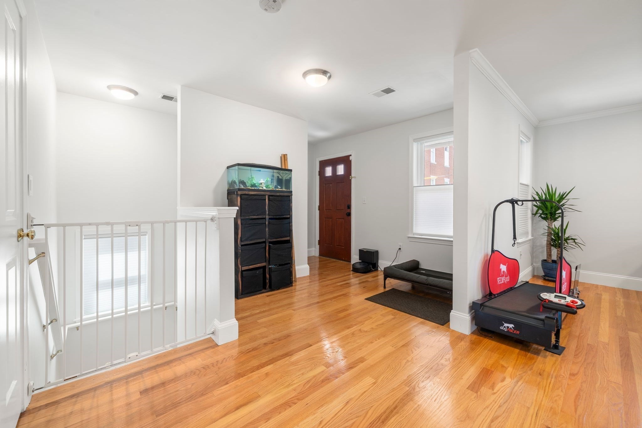 8 Brinton St Unit 2, Roxbury, Boston, MA 02119 - Image 5