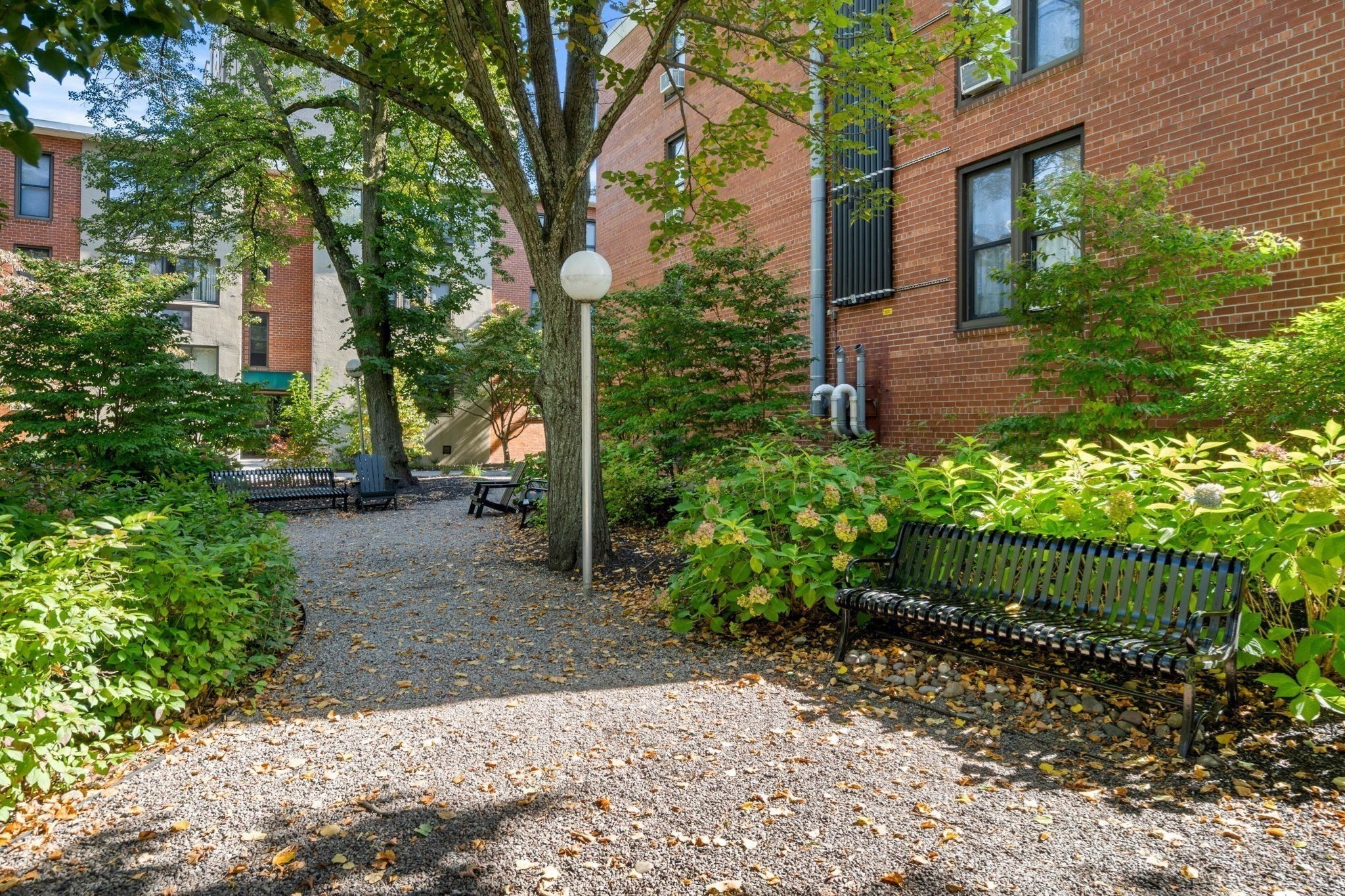 6 Juniper St Unit 16, Brookline, MA 02445 - Image 15