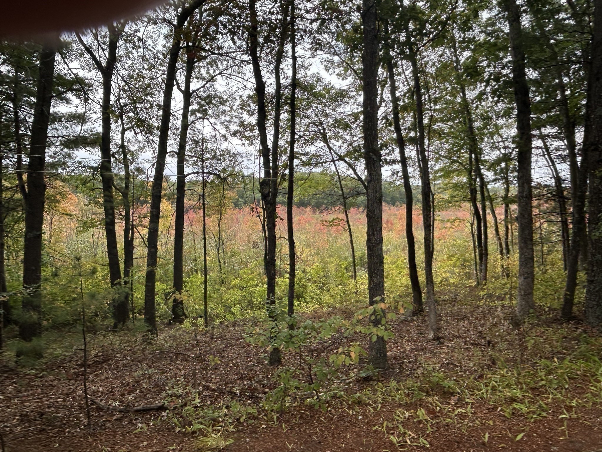 21 Heritage Lane, Groton, MA 01450 - Image 29