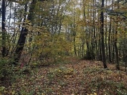 0 Woodland Way, Russell, MA 01071 - Image 8