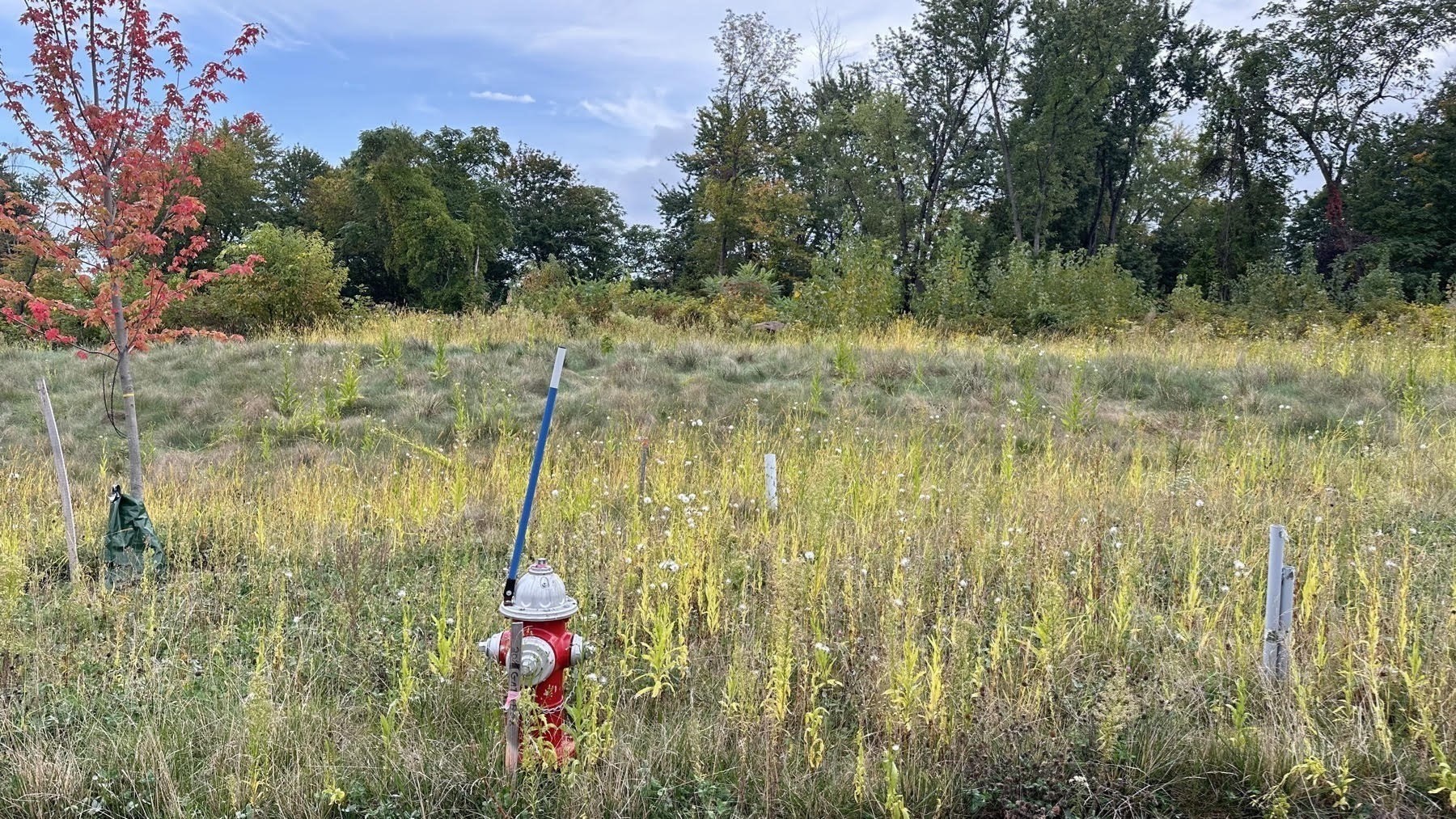 10 Ahiska Rd, West Springfield, MA 01089 - Image 5