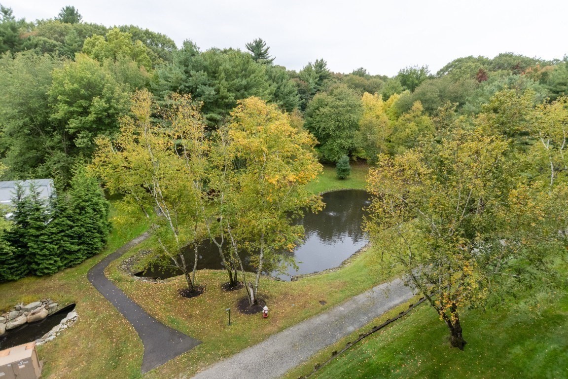 79 Florence St Unit 402S, Newton, MA 02467 - Image 31