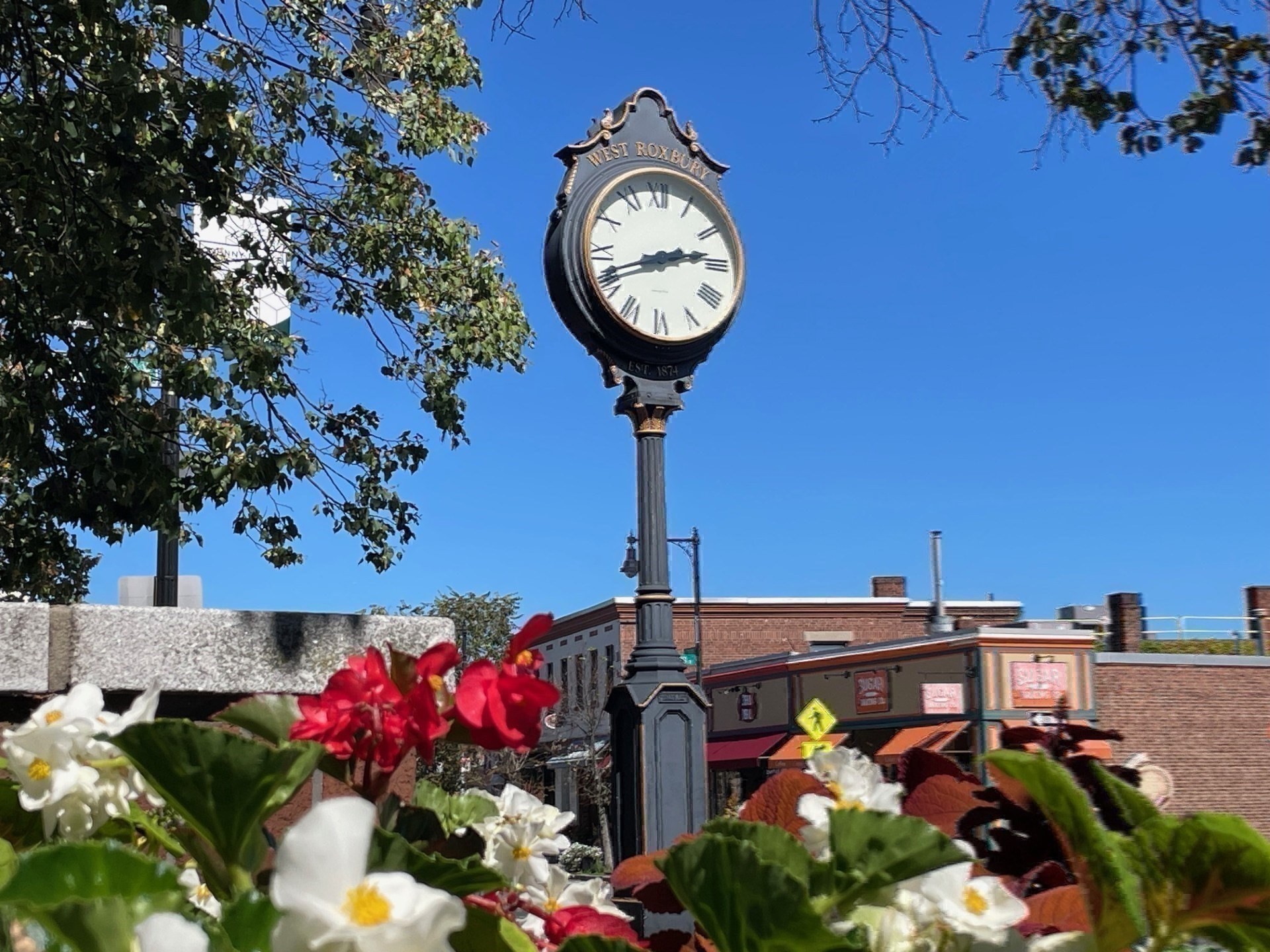 37 Hastings Street Unit 103, West Roxbury, Boston, MA 02132 - Image 34