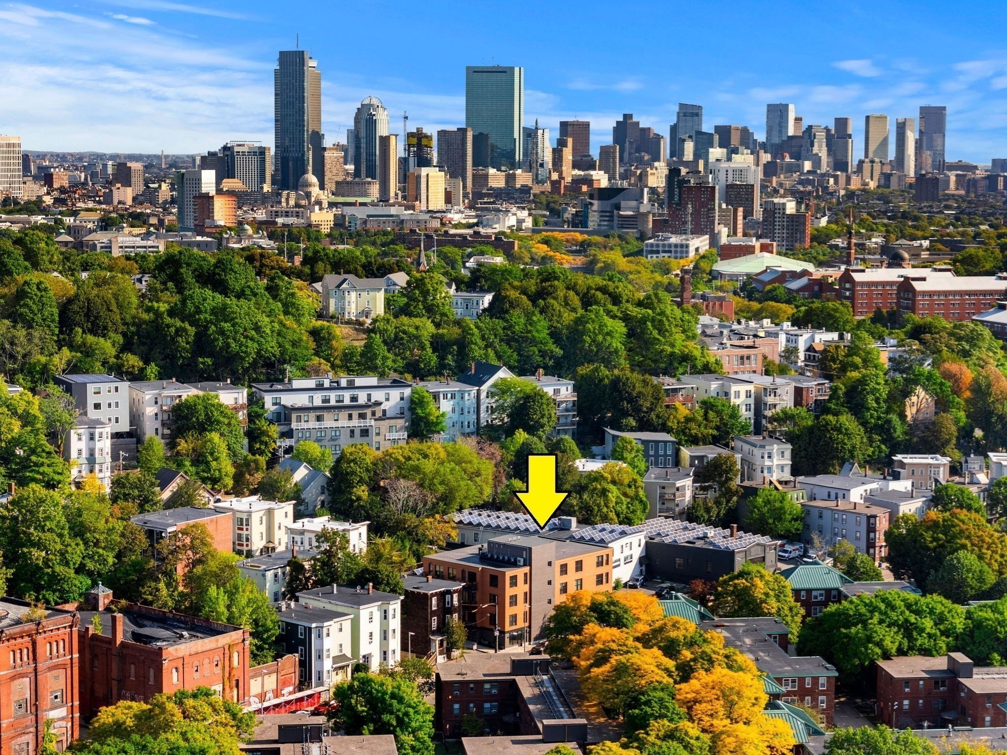 101 Heath Street Unit 101, Mission Hill, Boston, MA 02120 - Image 14