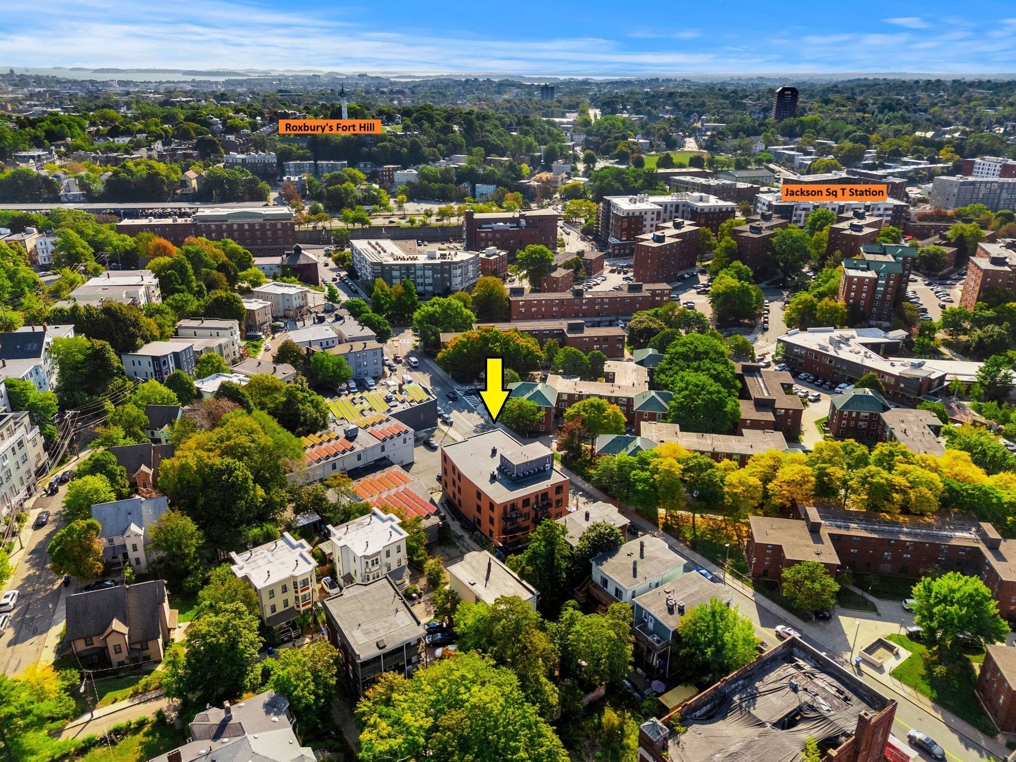 101 Heath Street Unit 101, Mission Hill, Boston, MA 02120 - Image 15