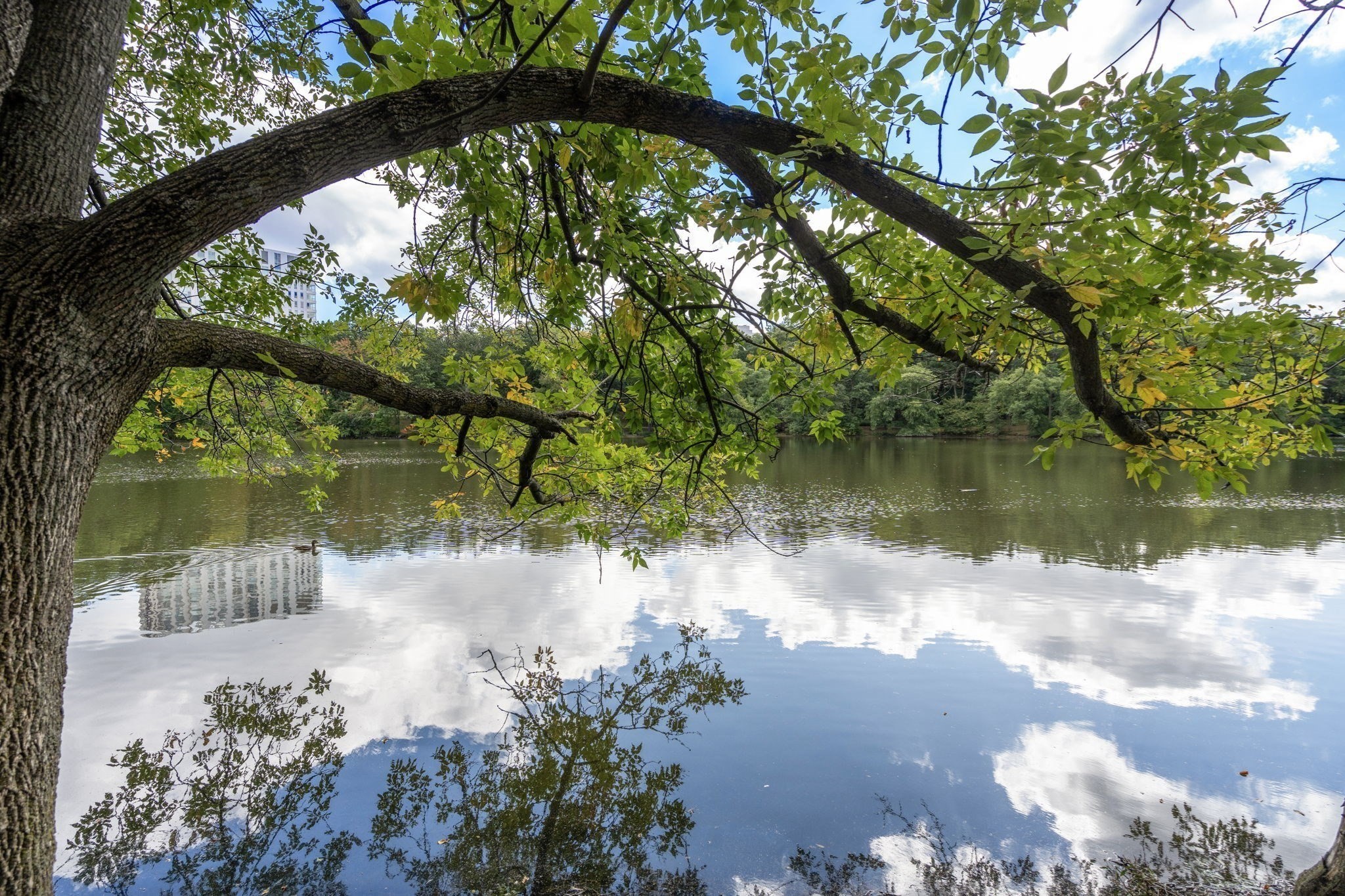 99 Pond Avenue Unit D -608, Brookline, MA 02445 - Image 18