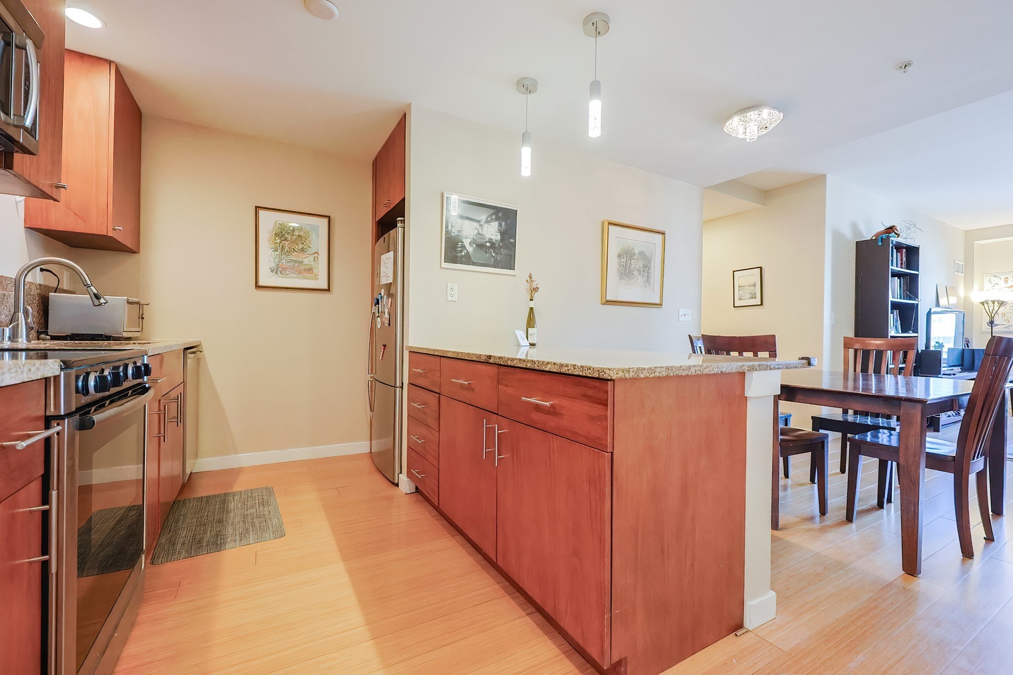 16 Miner Unit 501, Boston - Fenway, MA 02215