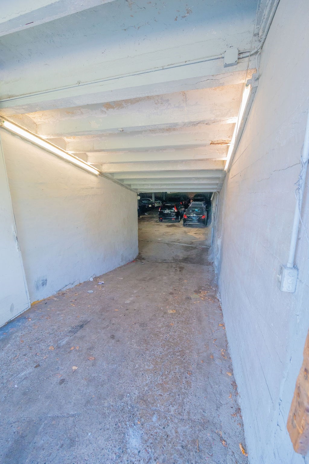 4 Milton Ave, Dorchester, Boston, MA 02124 - Image 5