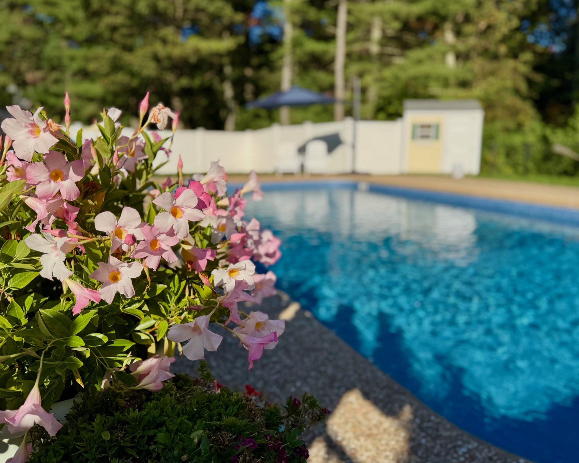 23 Fredrickson Rd, Norfolk, MA 02056 - Image 5