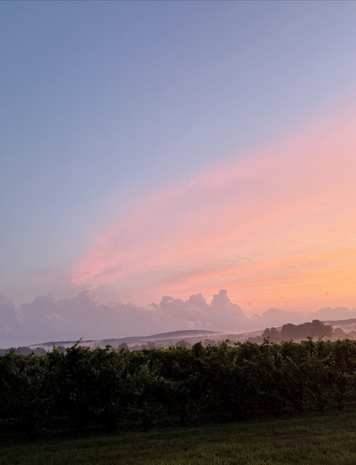 0 Straits Road, Hatfield, MA 01038 - Image 4