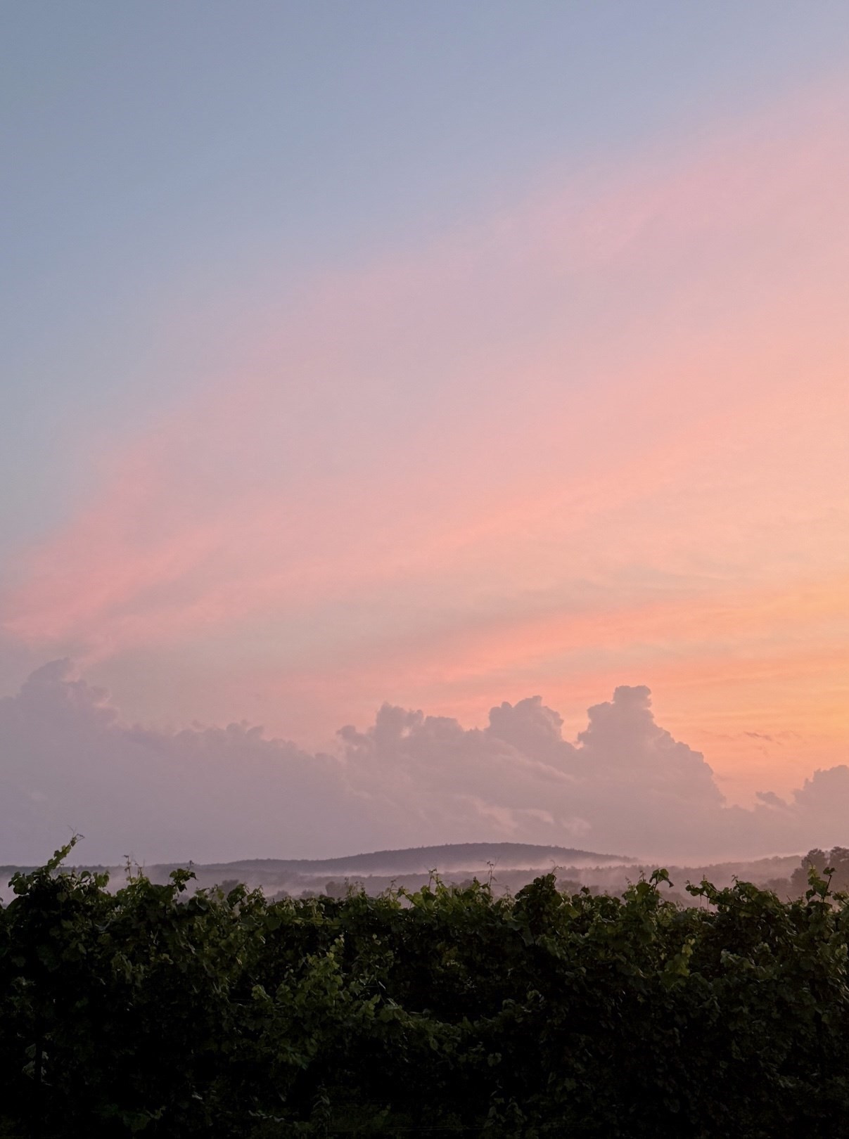 0 Straits Road, Hatfield, MA 01038 - Image 5