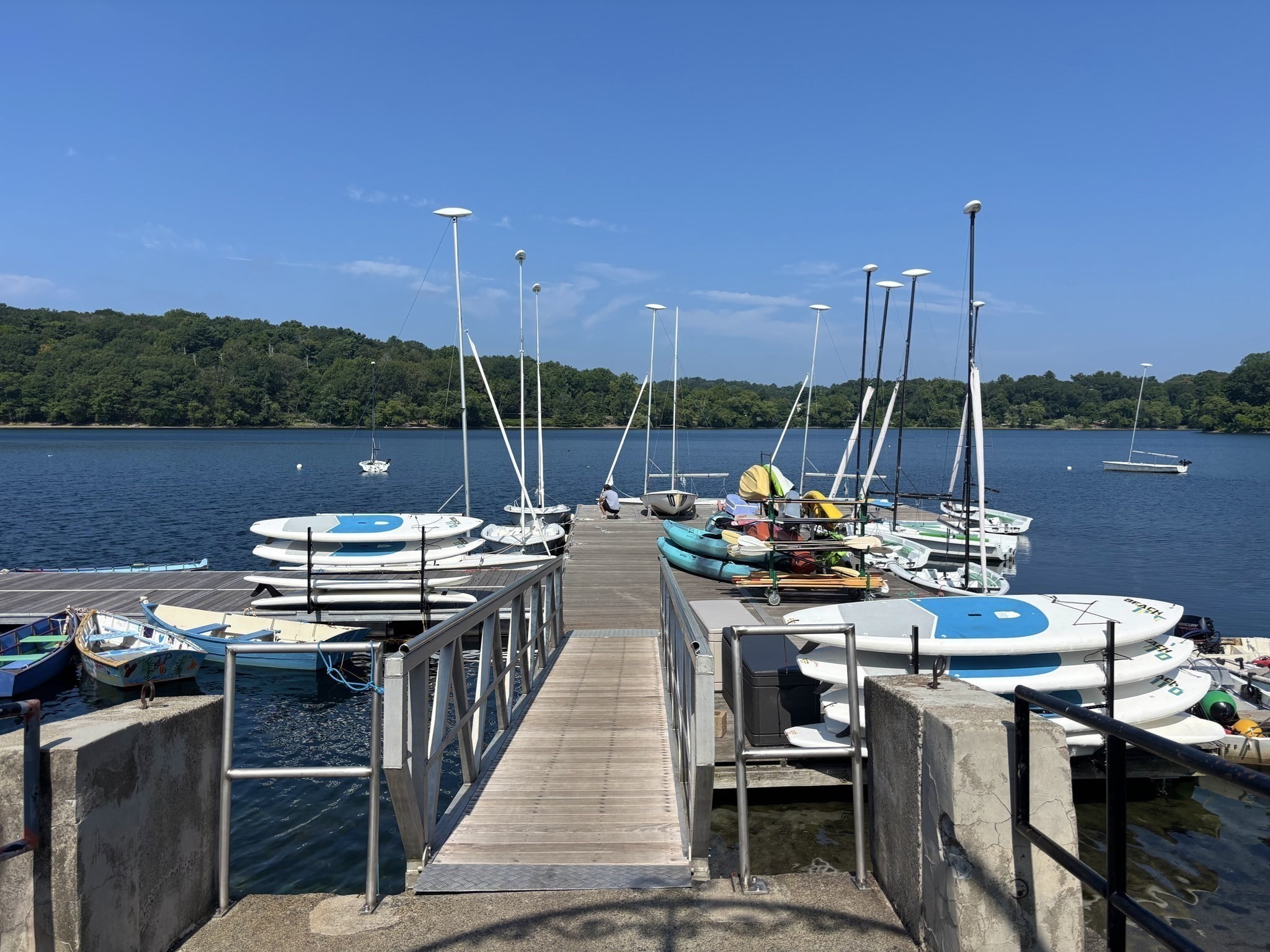 29 Goldsmith Street Unit 1, Jamaica Plain, Boston, MA 02130 - Image 30