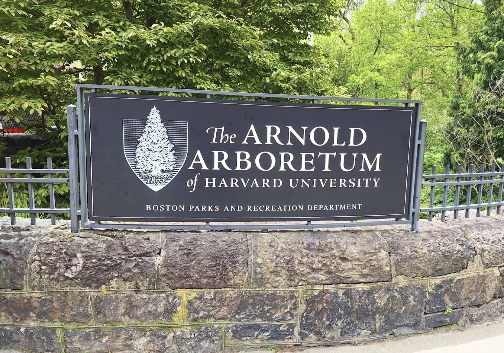 29 Goldsmith Street Unit 1, Jamaica Plain, Boston, MA 02130 - Image 36