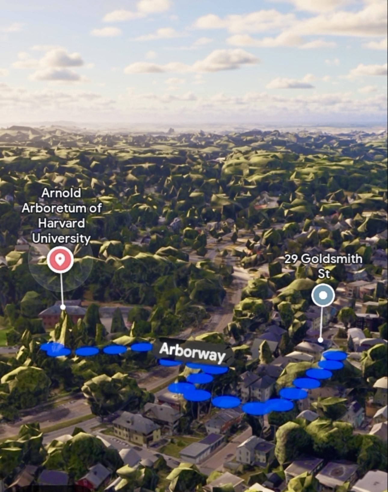 29 Goldsmith Street Unit 1, Jamaica Plain, Boston, MA 02130 - Image 37